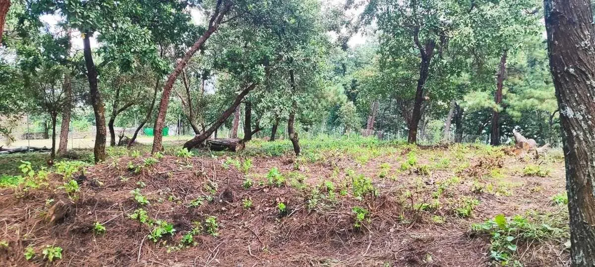 Terreno Spot2