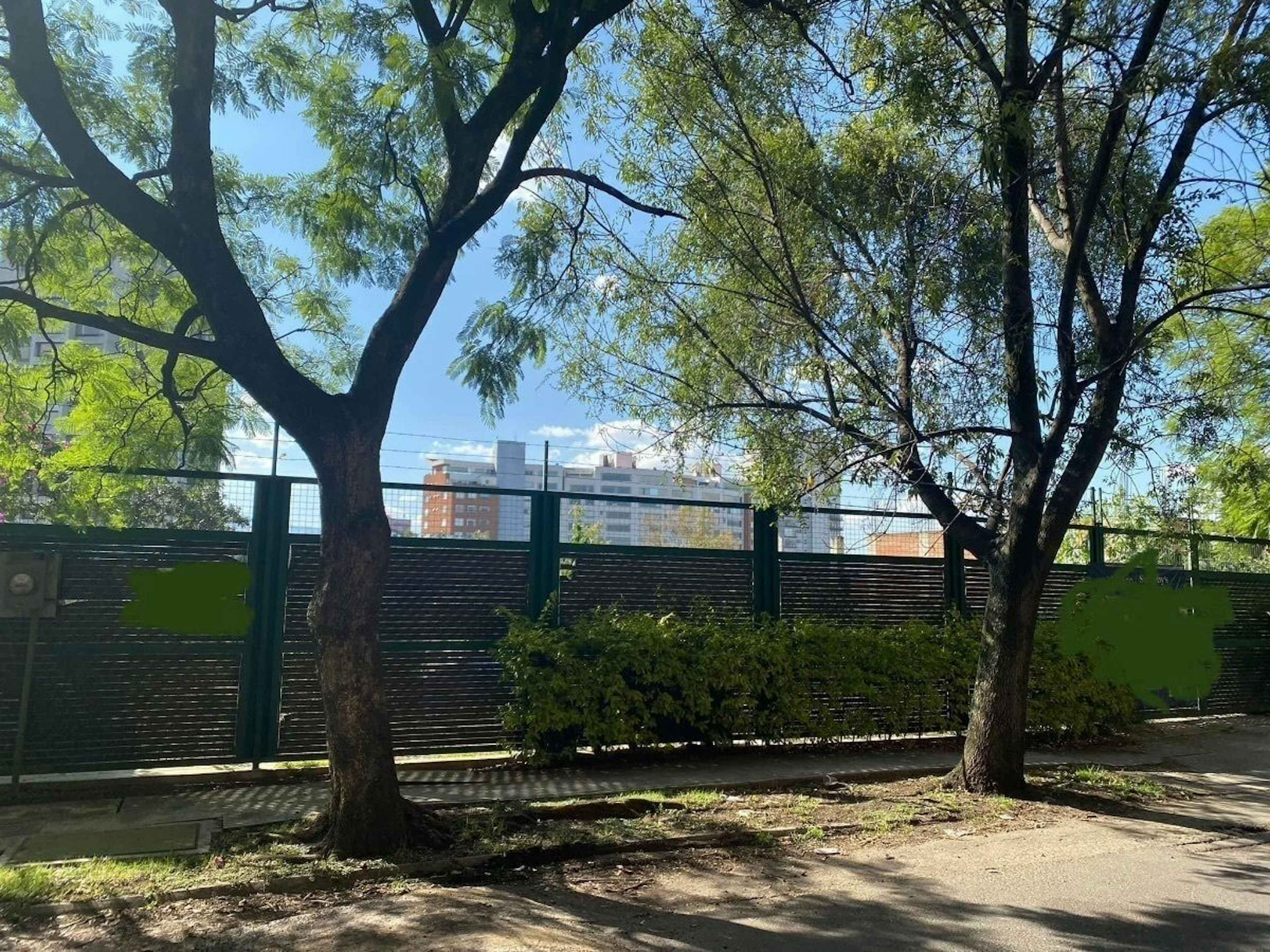 Bosques De Avellanos 24