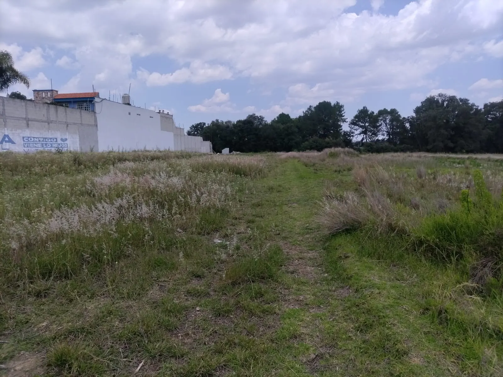 Terreno Spot2