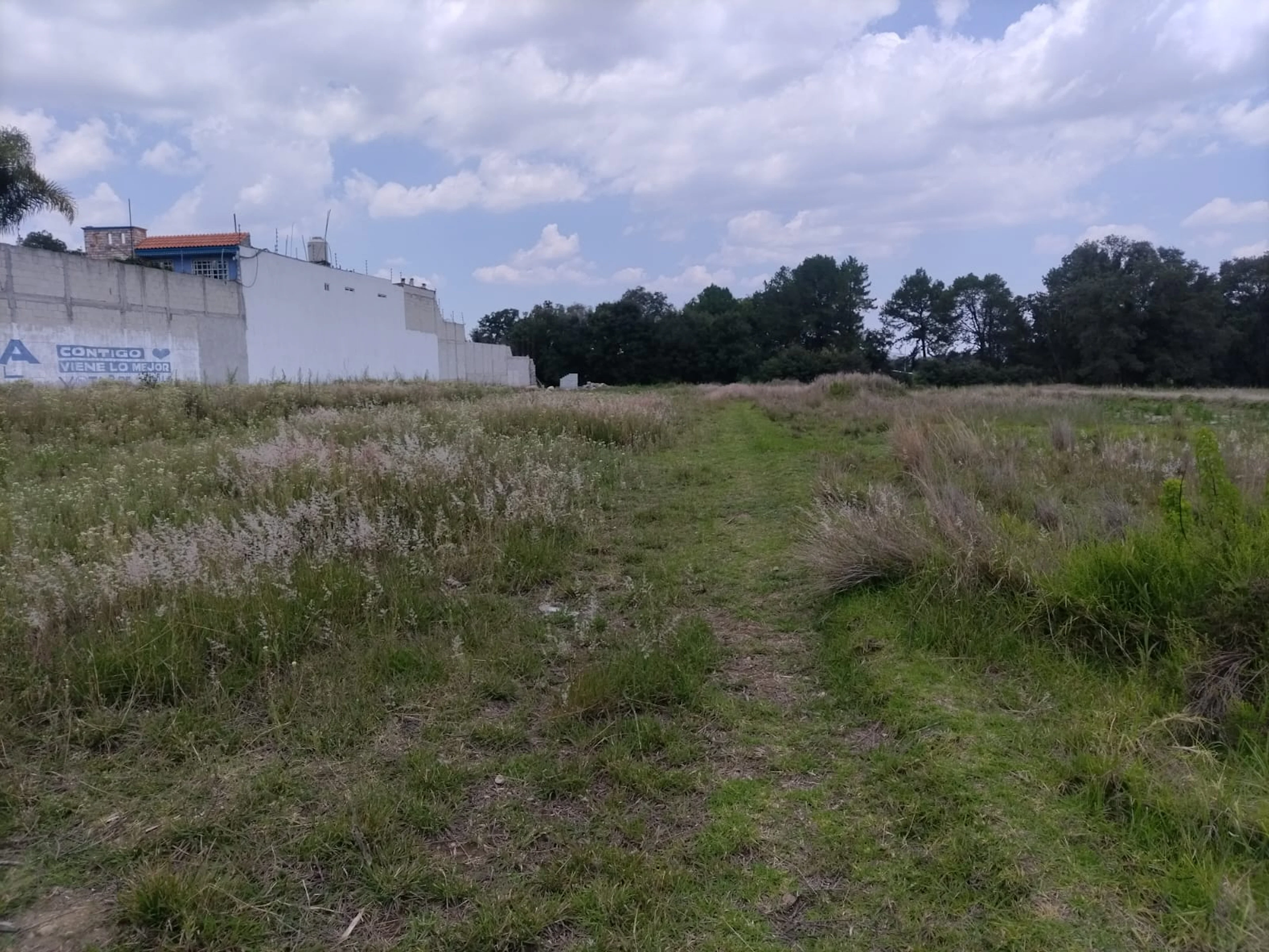 Terreno Spot2