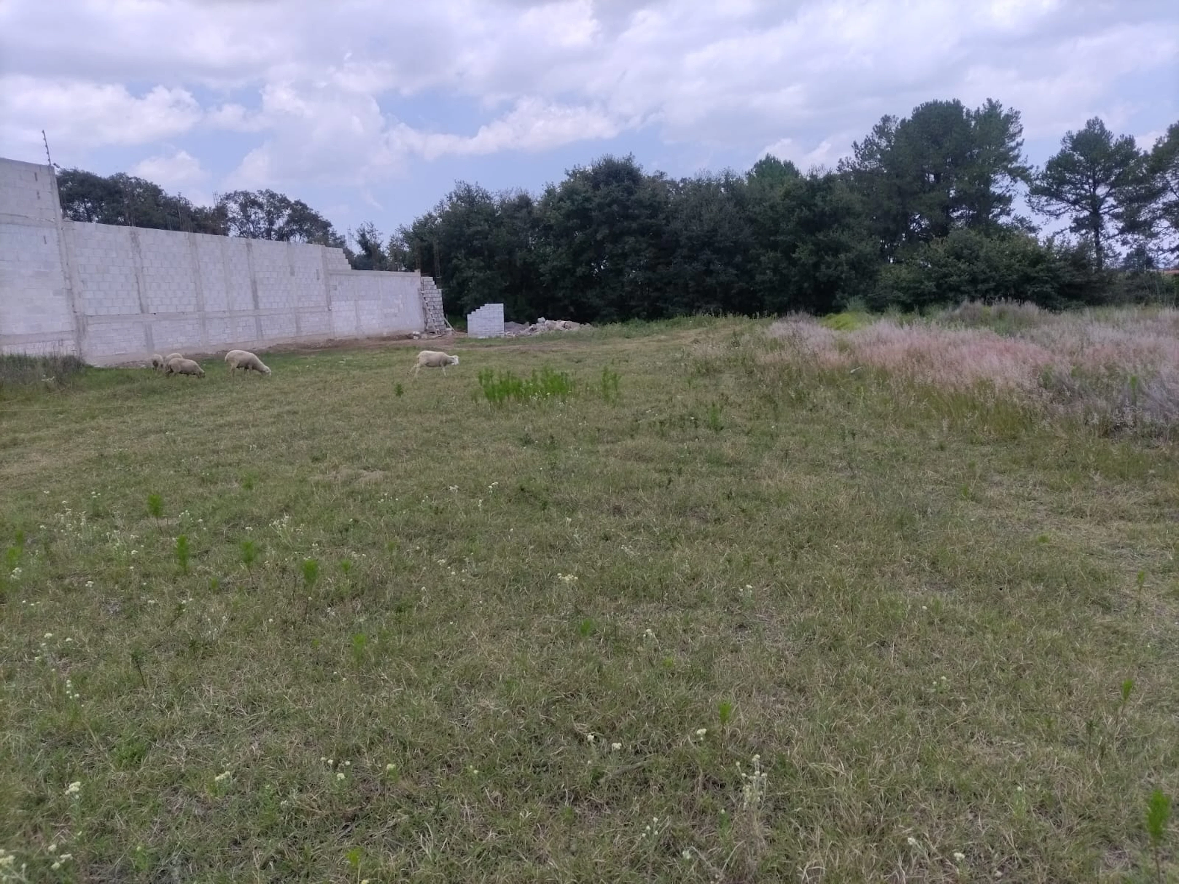 Terreno Spot2