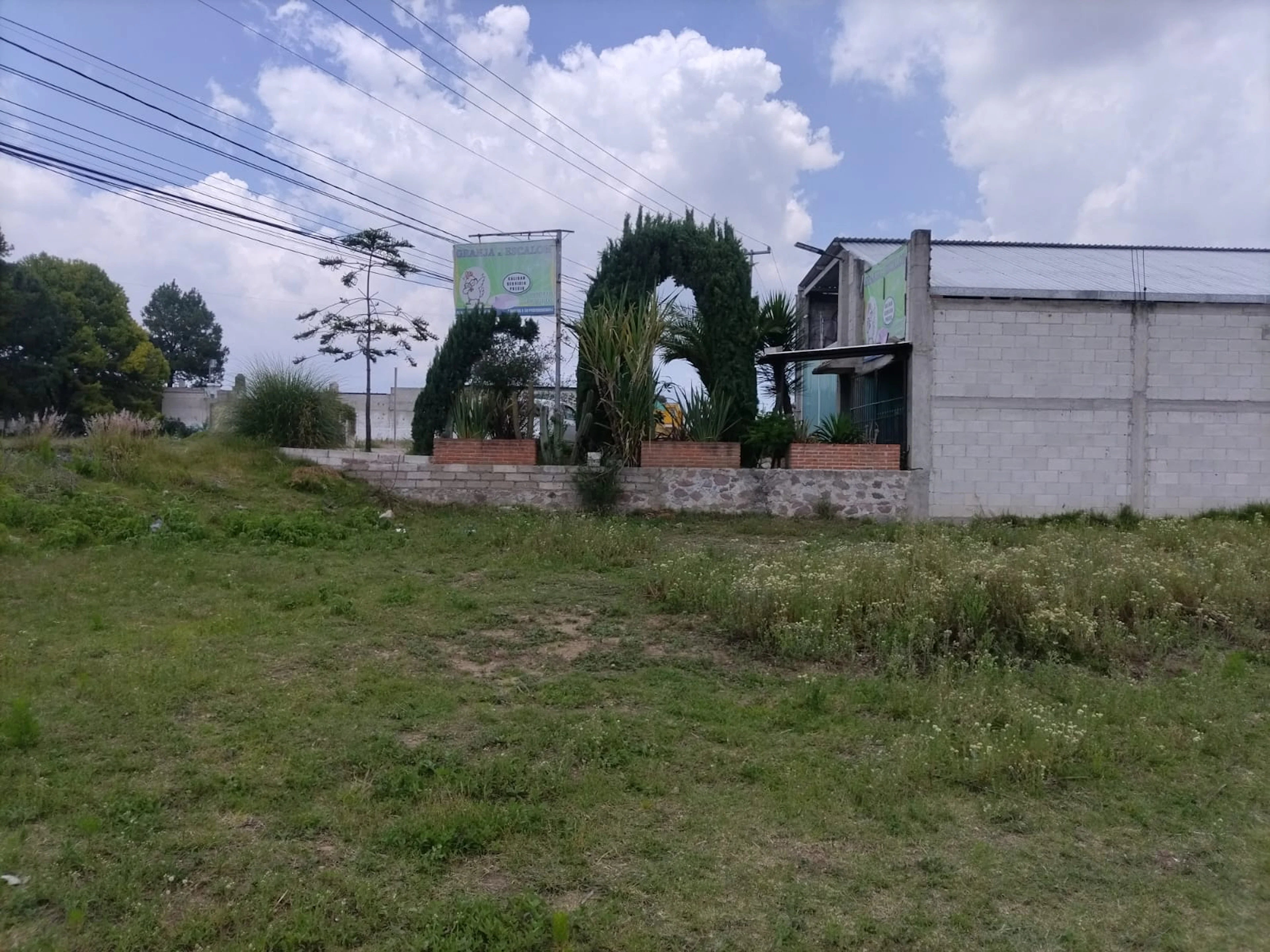 Terreno Spot2