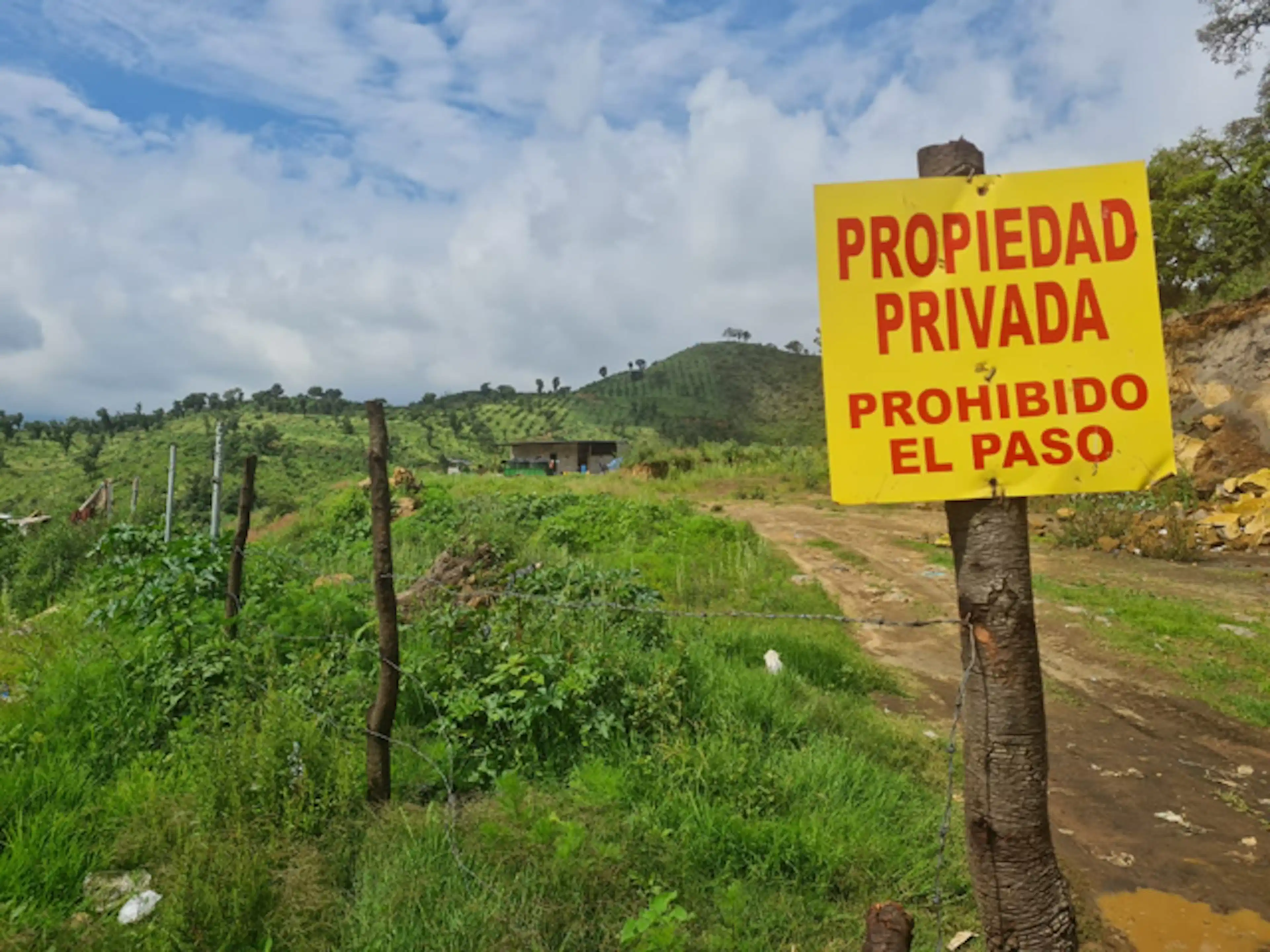 Huerta De Aguacates En Venta, Zacapu, Michoacán
