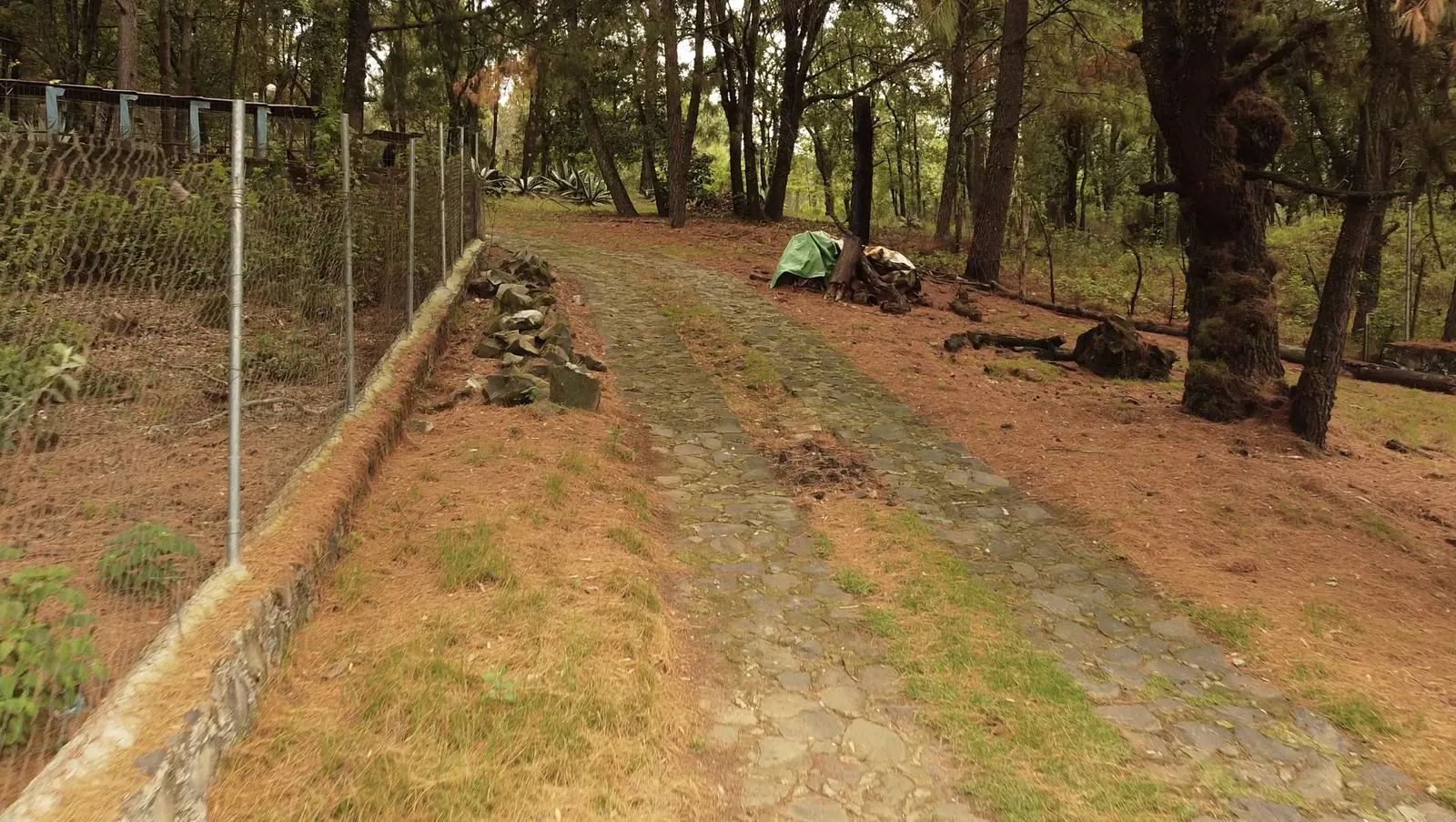 Terreno Spot2