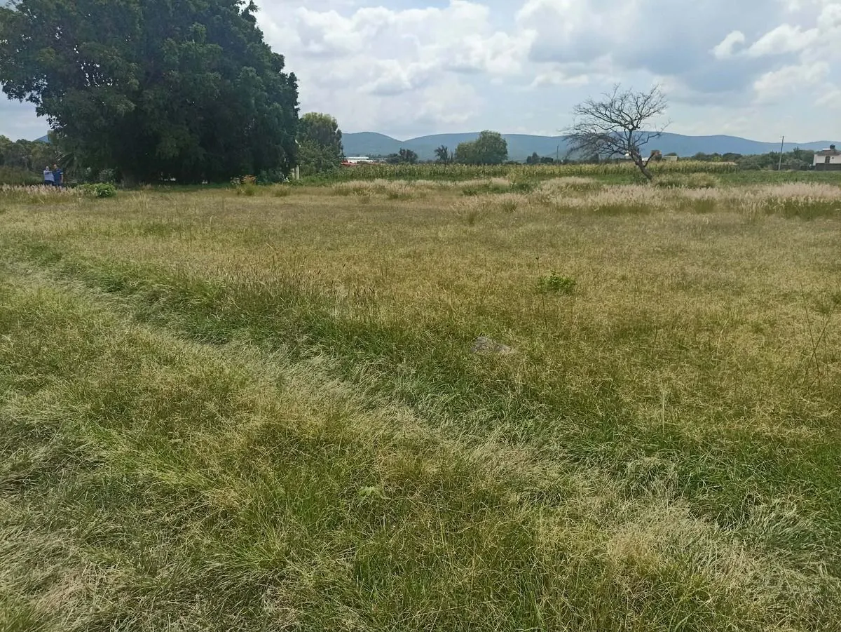Terreno Spot2