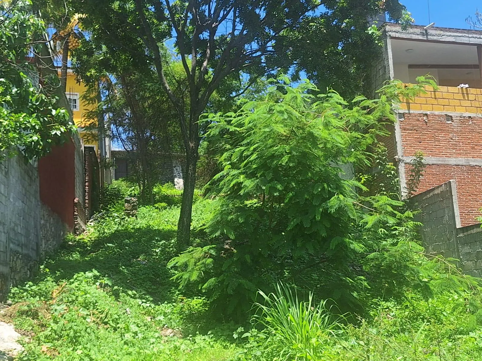 Terreno Spot2