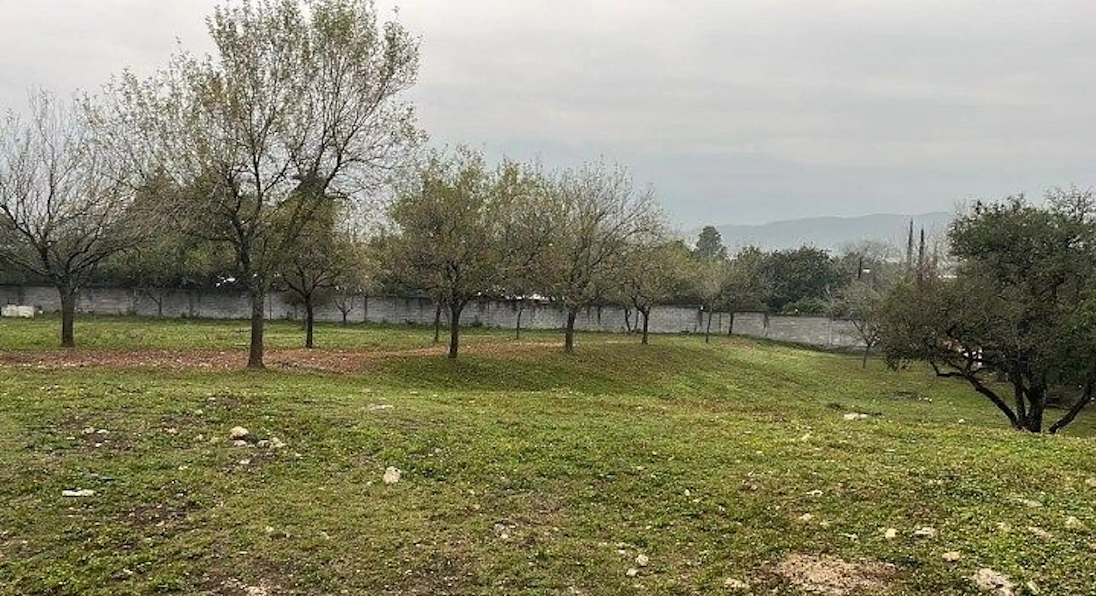 Terreno En Venta En Congregacion Los Cavazos-huajuquito, Santiago, N.l.