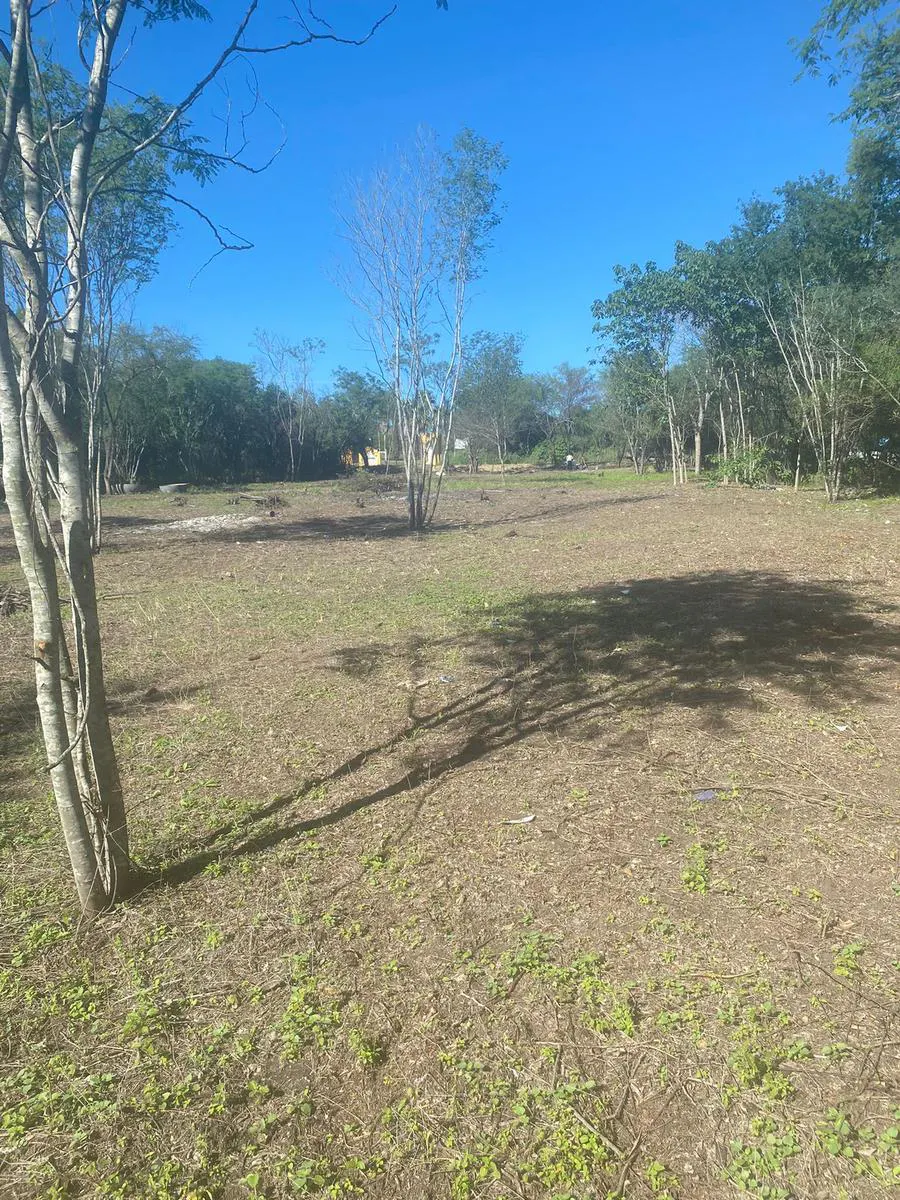 Terreno Spot2