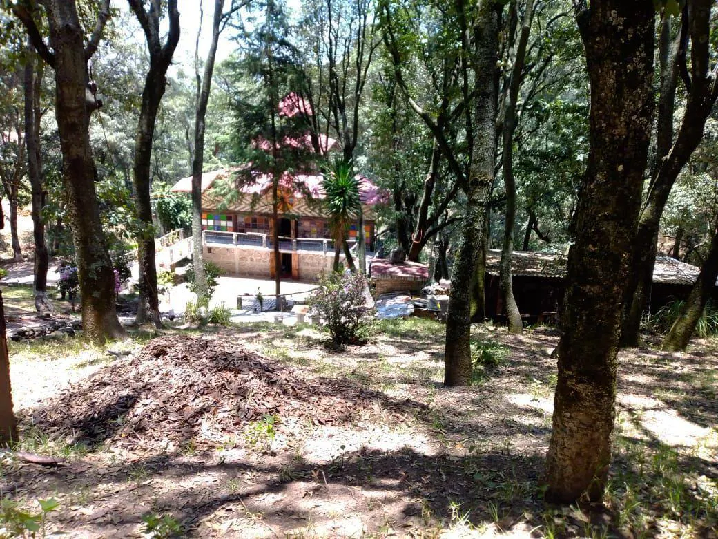 Terreno Spot2