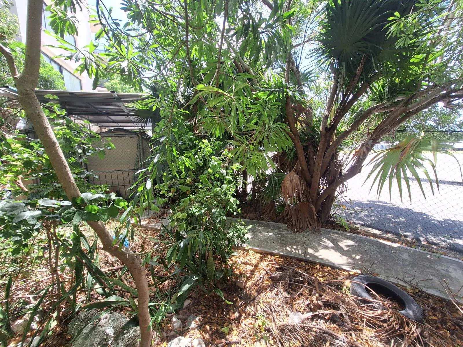 Terreno Spot2