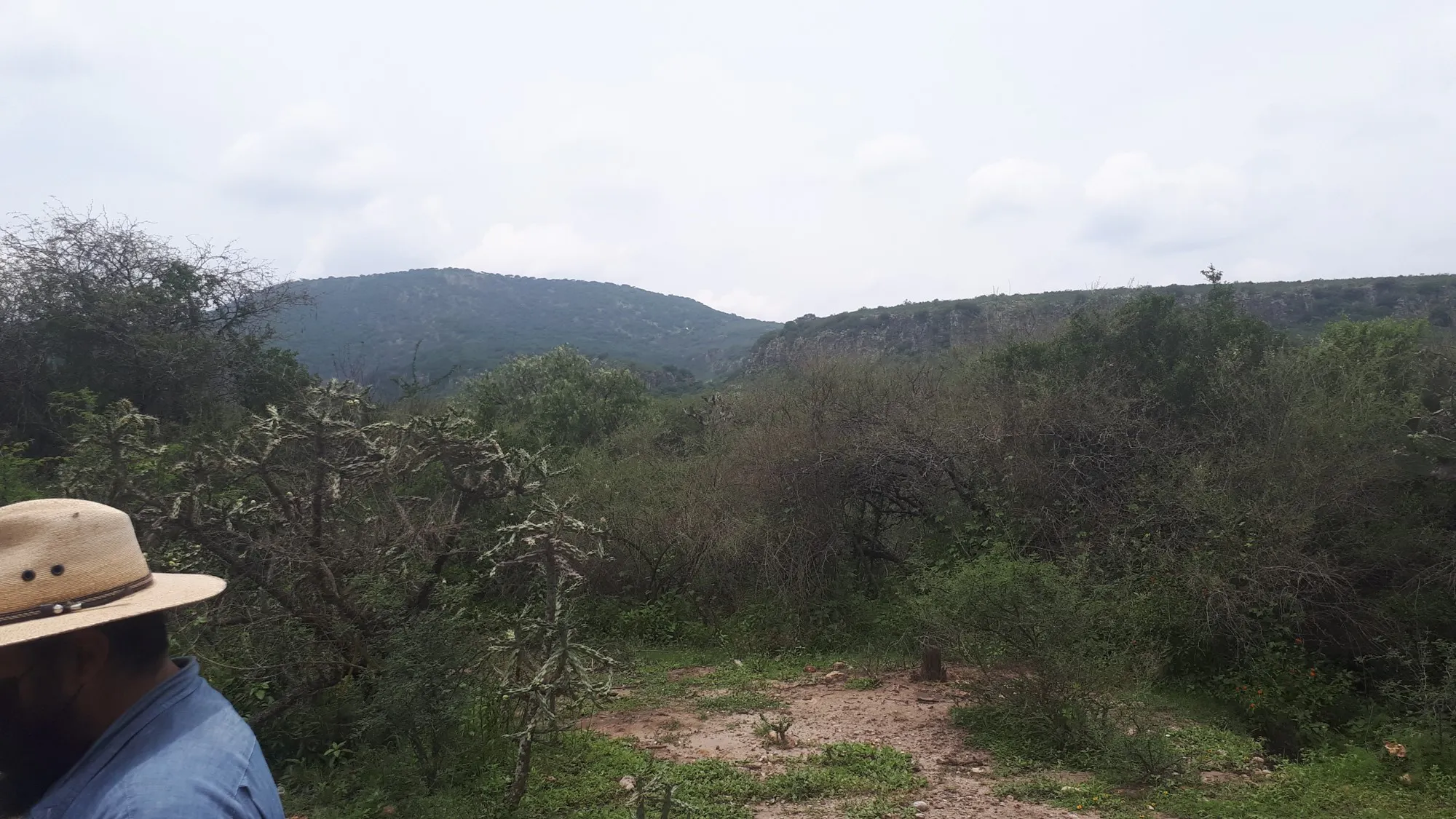 Terreno Spot2