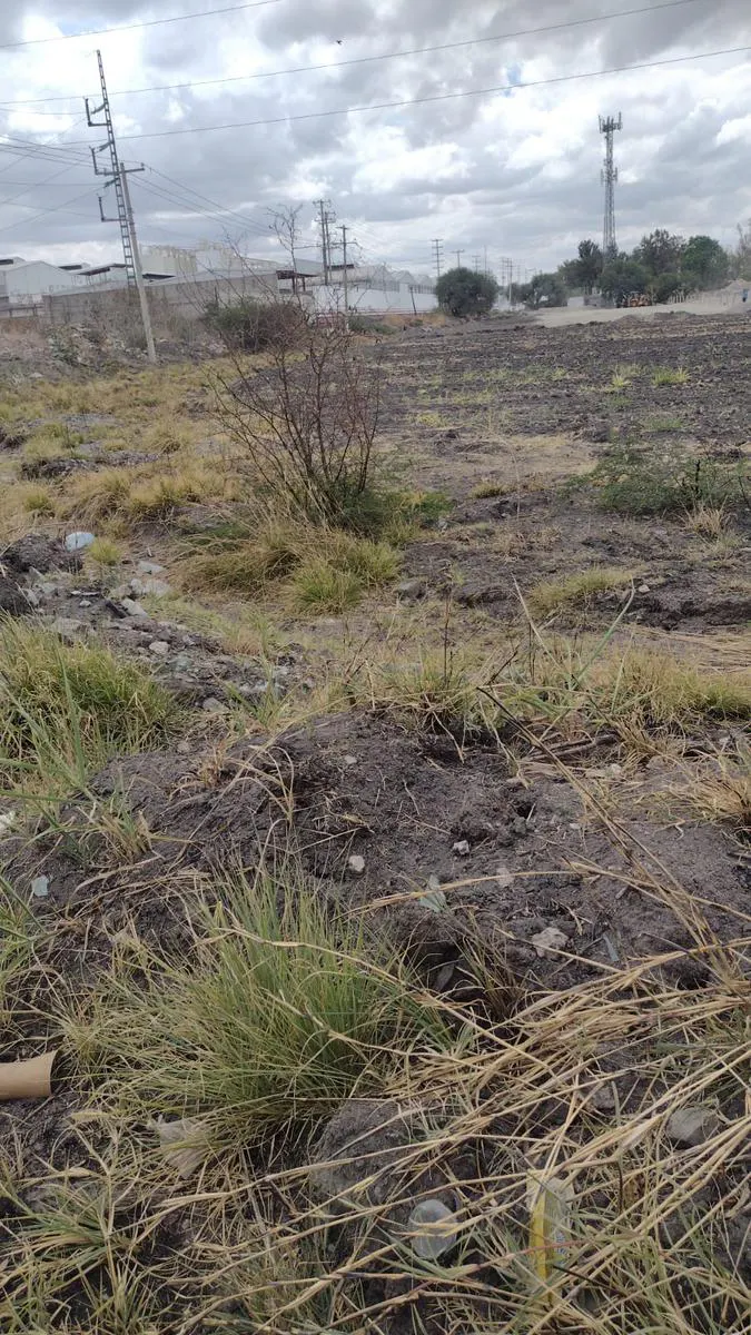 Terreno Spot2