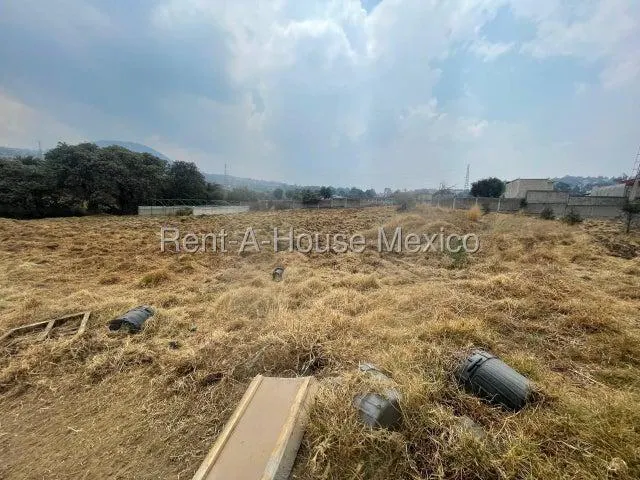 Terreno Spot2