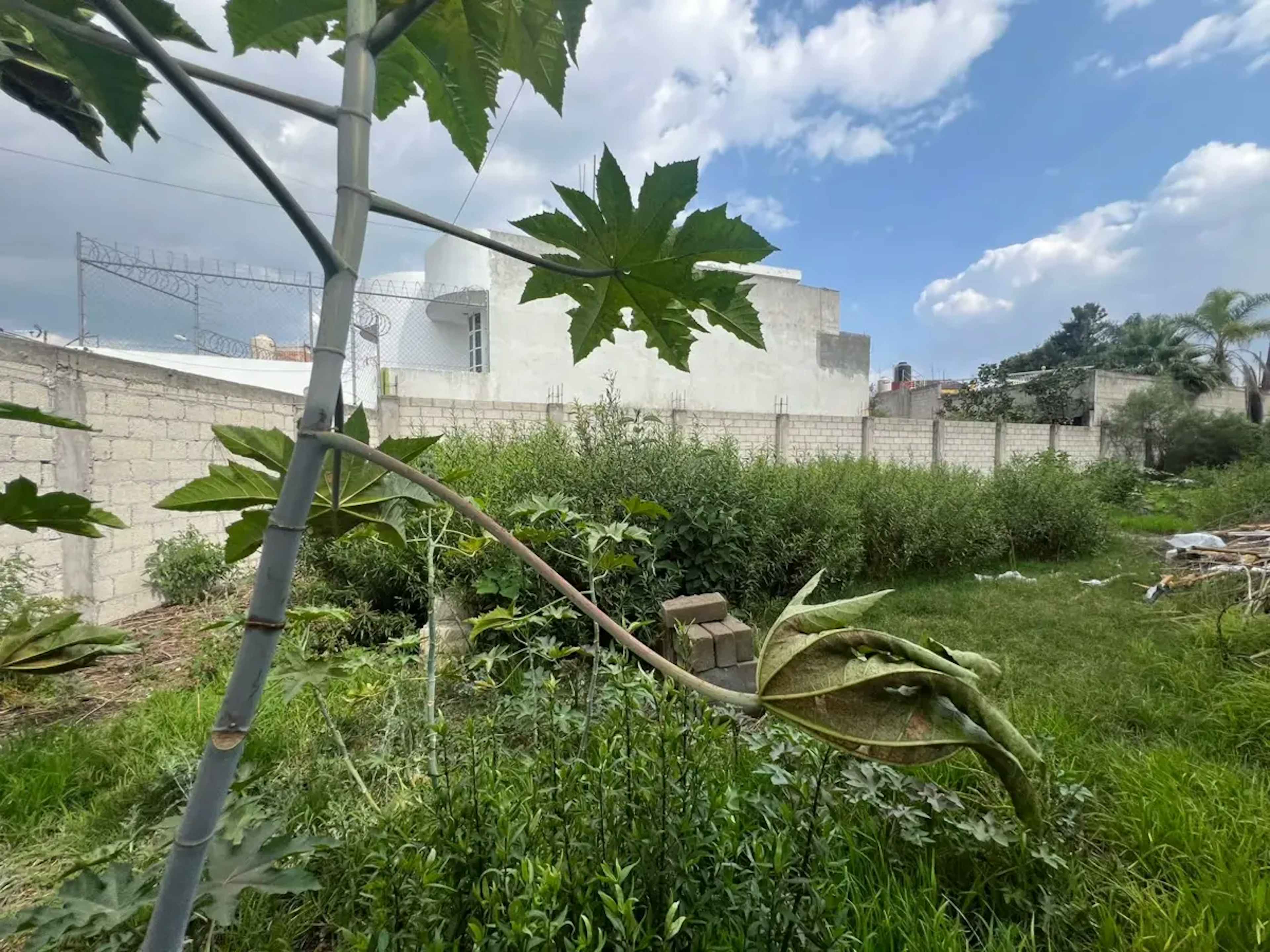 Terreno En Renta En Las Cuartillas, Puebla, Puebla