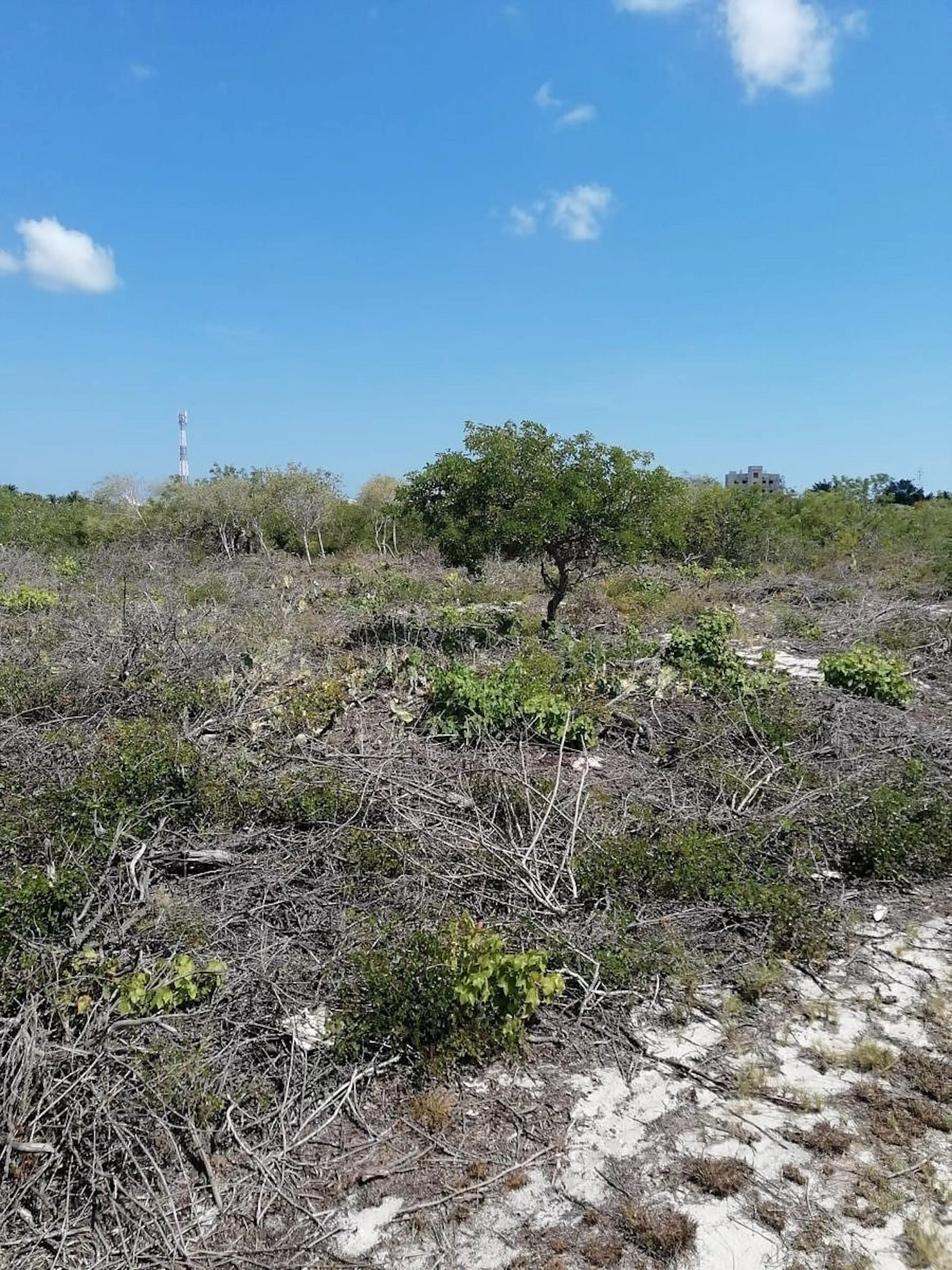 Terreno De 500m2 En Venta En Chicxulub Puerto, Progreso, Yucatán