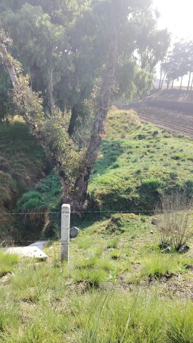 Terreno Spot2