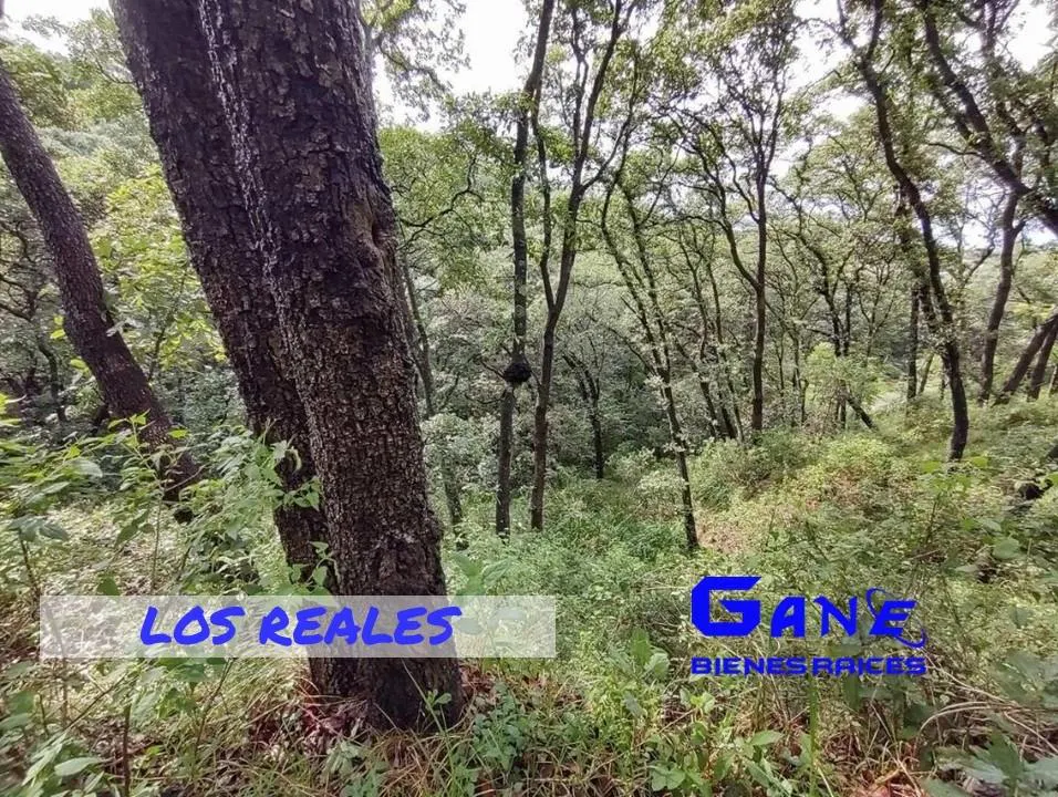Terreno Spot2