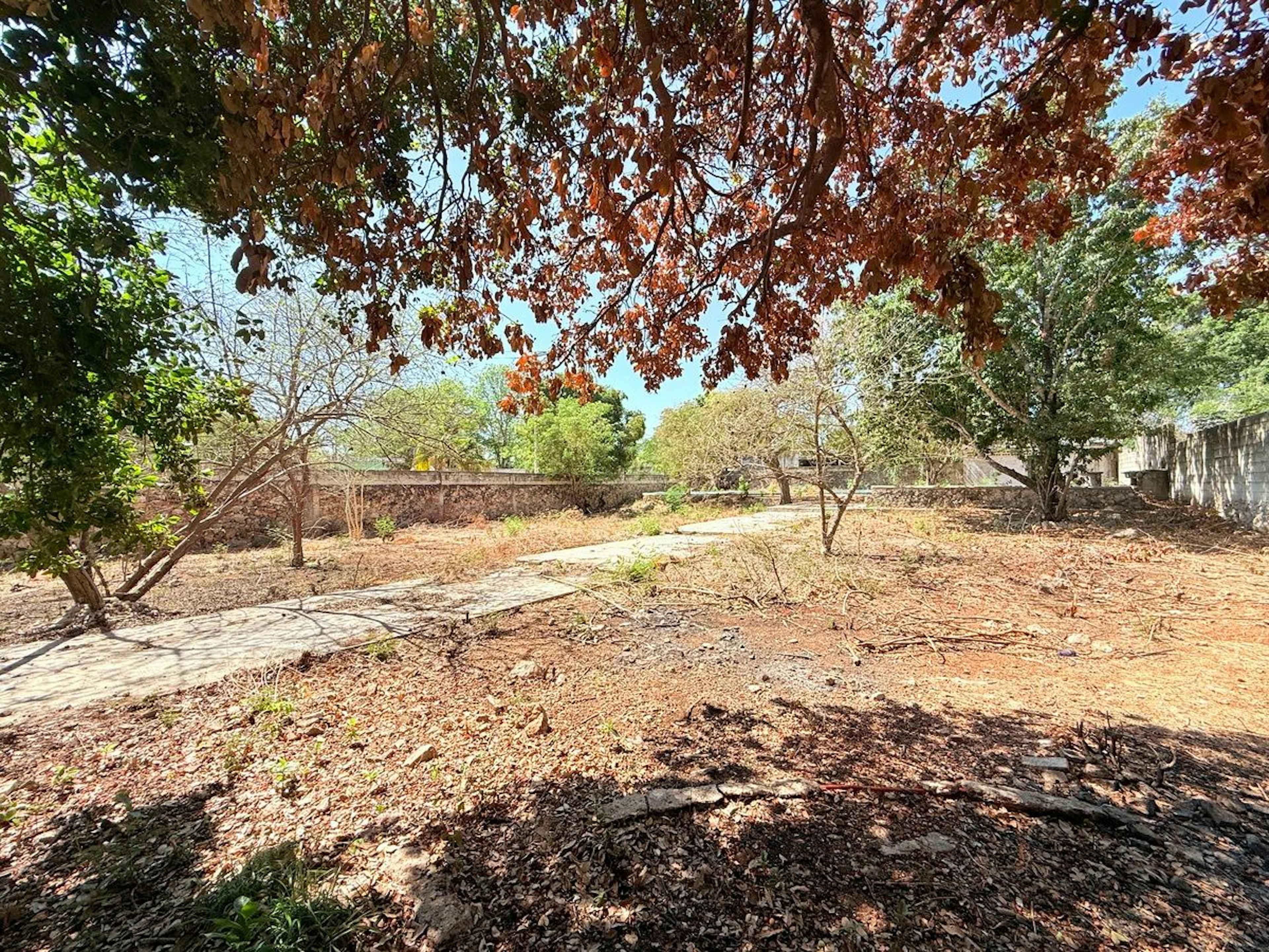 Terreno/lote En Venta Merida, Roble Agricola, Entrega Inmediata