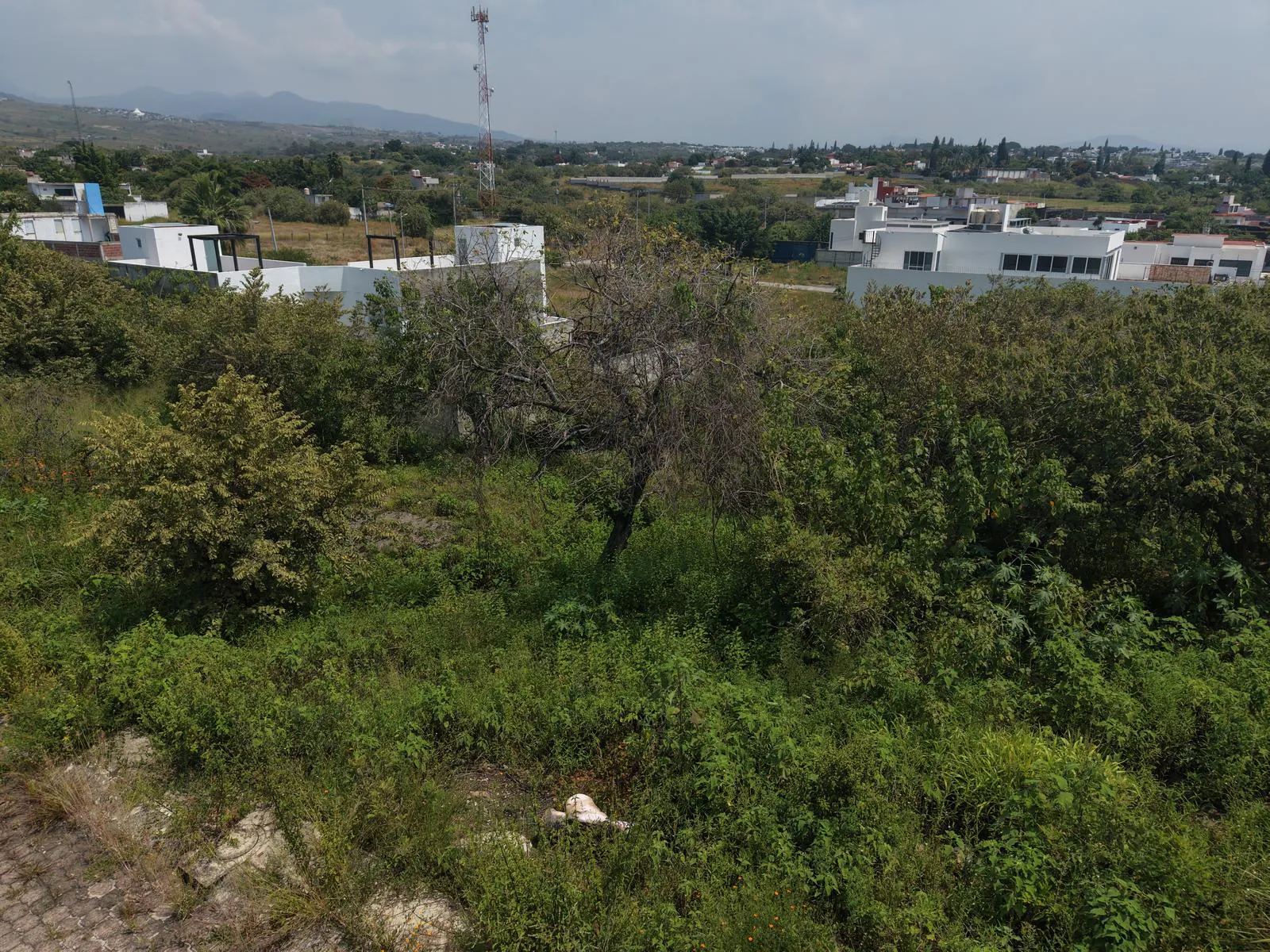 Terreno Spot2