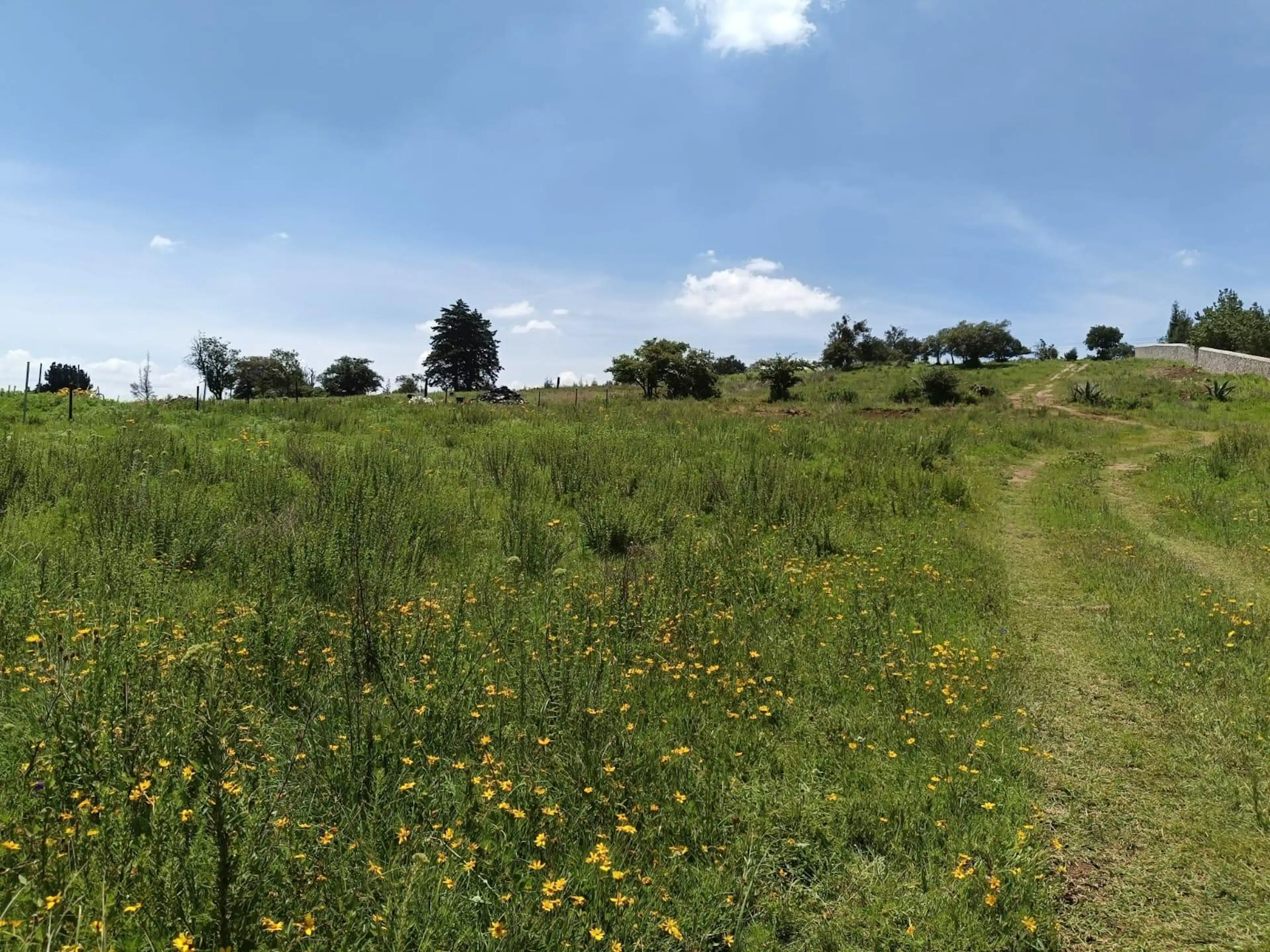 Terreno en Timilpan, 9409 M2 ¡Oportunidad Única de Inversión!