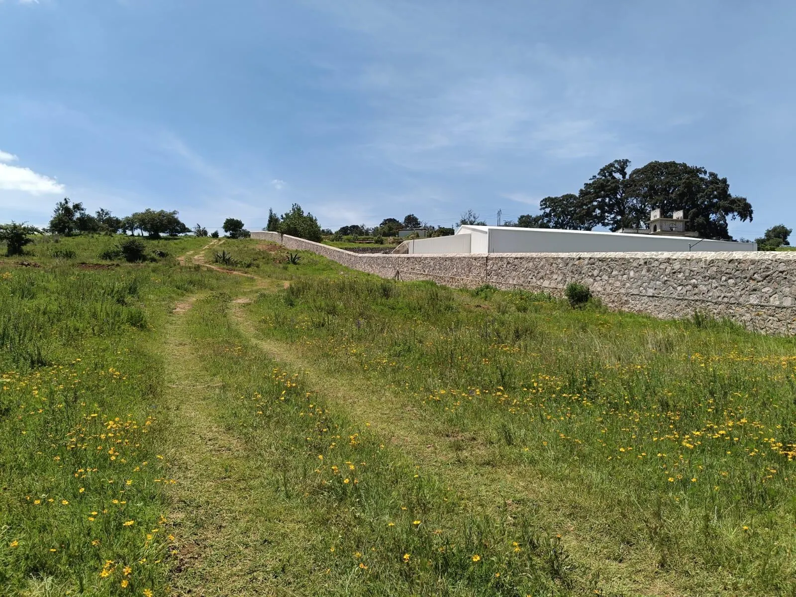 Terreno Spot2