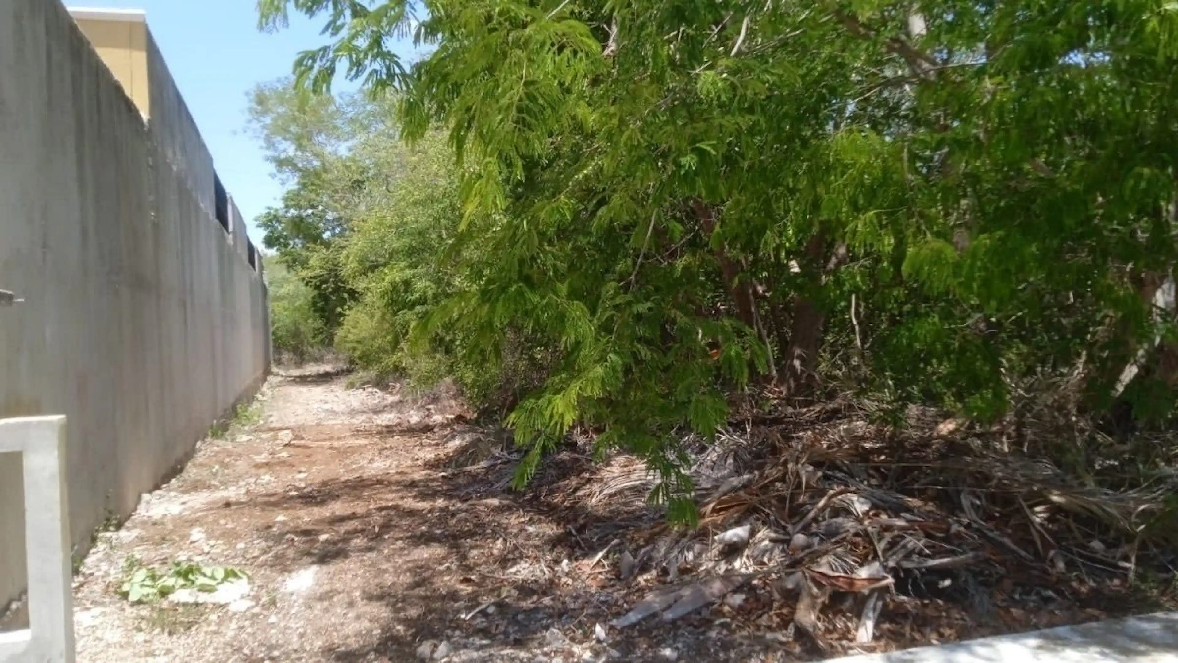 Excelente Terreno Precio Por M2 Menor Al Actual