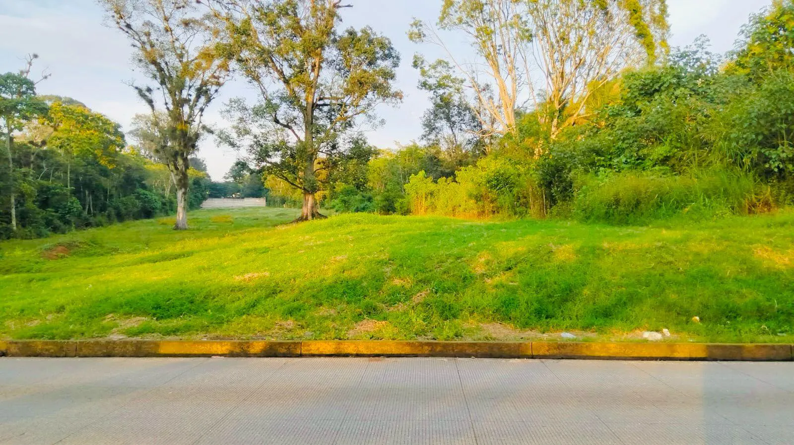 Terreno Spot2