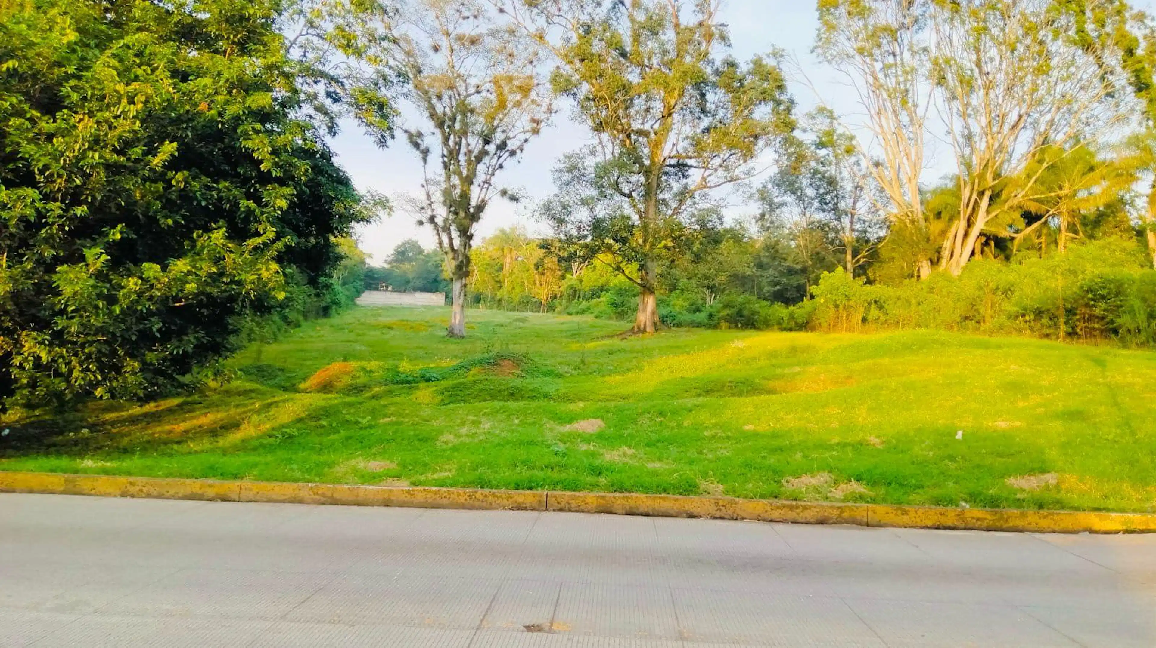 Oportunidad En Coatepec Veracruz, Terreno En Venta