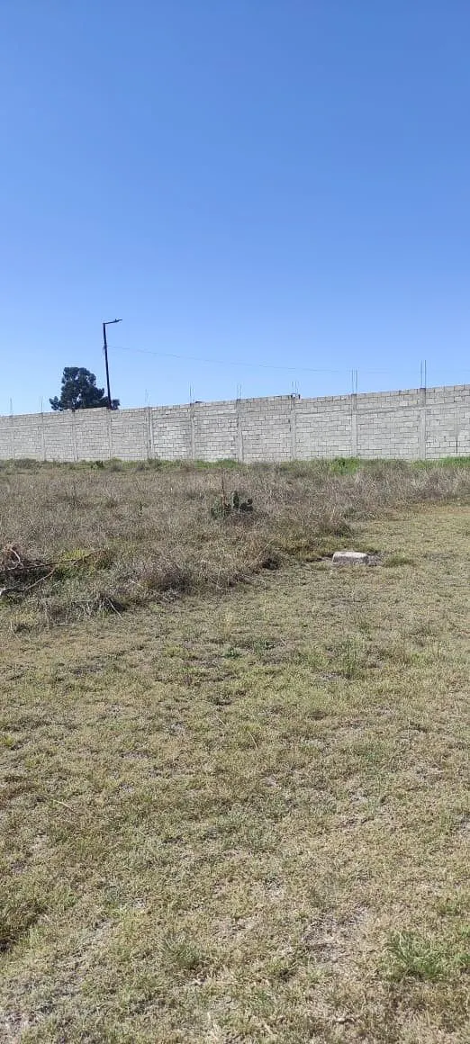 Terreno Spot2