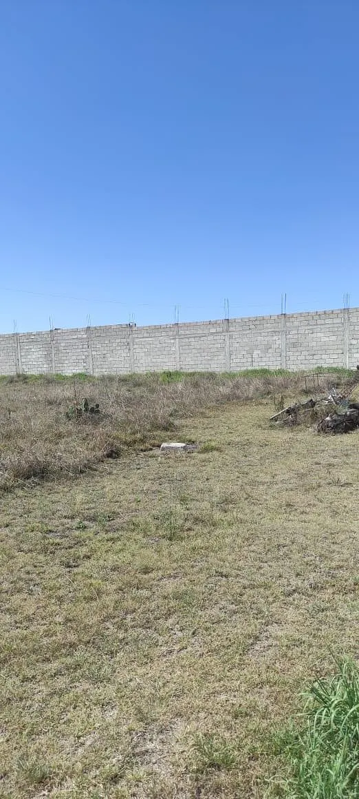 Terreno Spot2