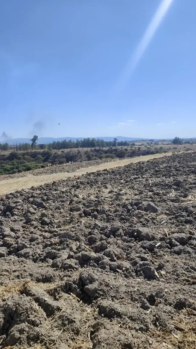 Terreno Spot2