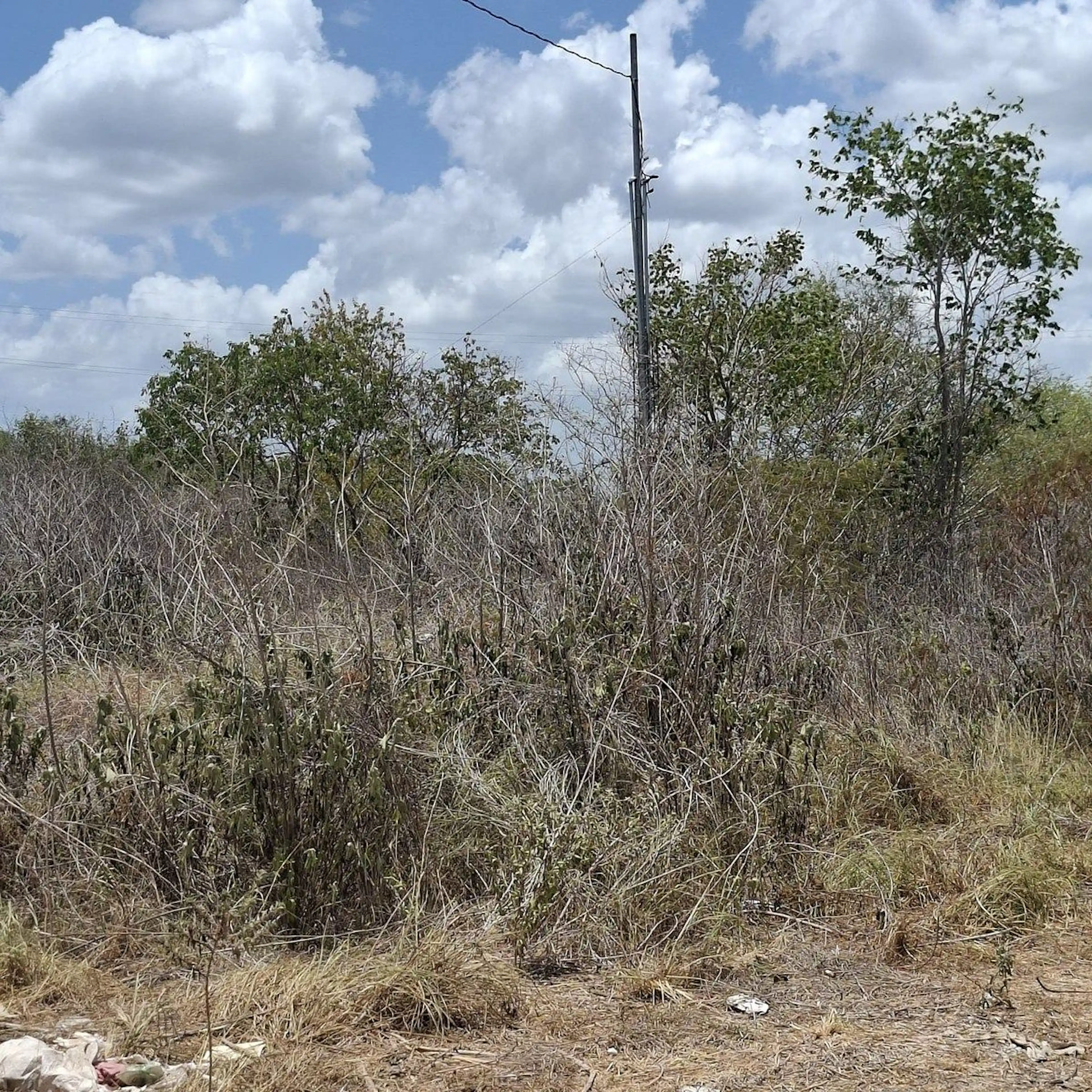 Temozon 2 Terrenos Colindantes De 660 M2 Cada Uno