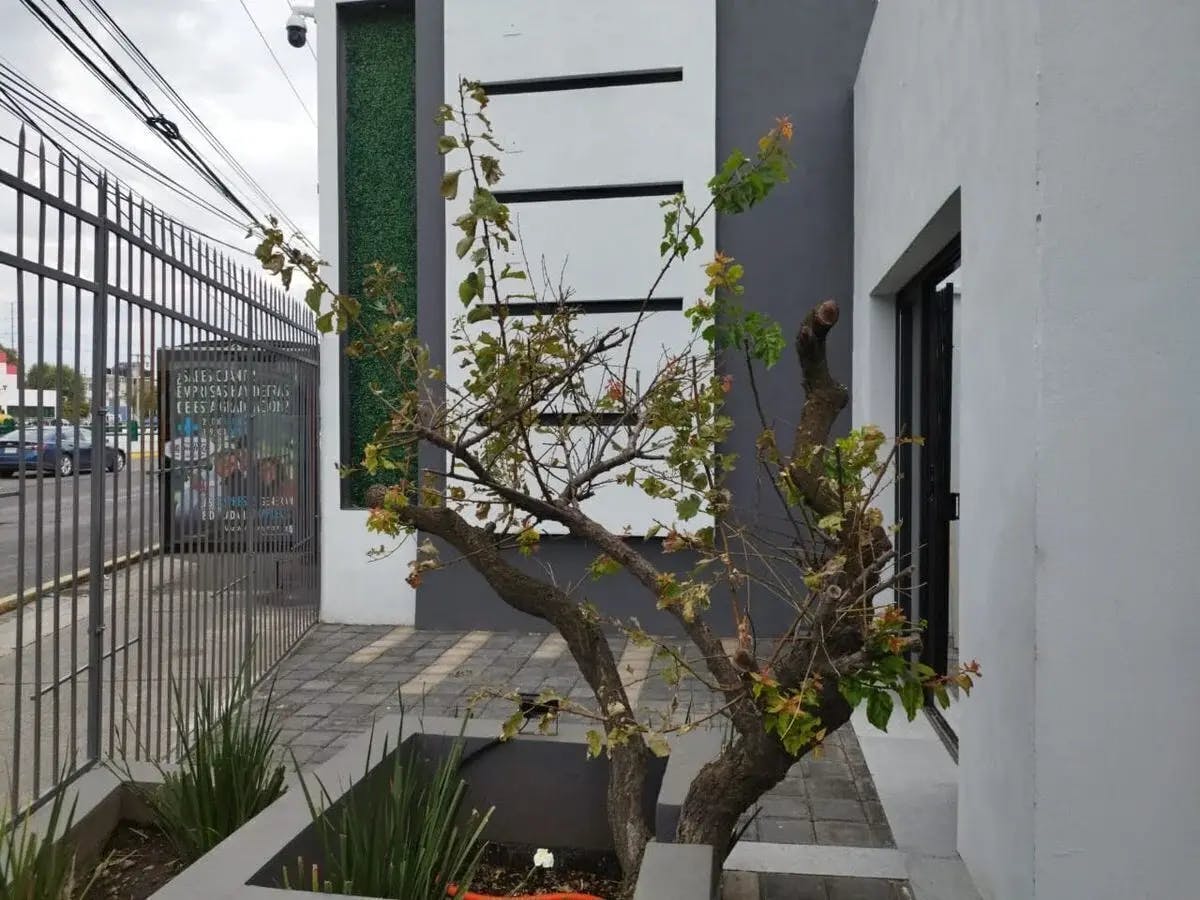 Local Comercial Spot2