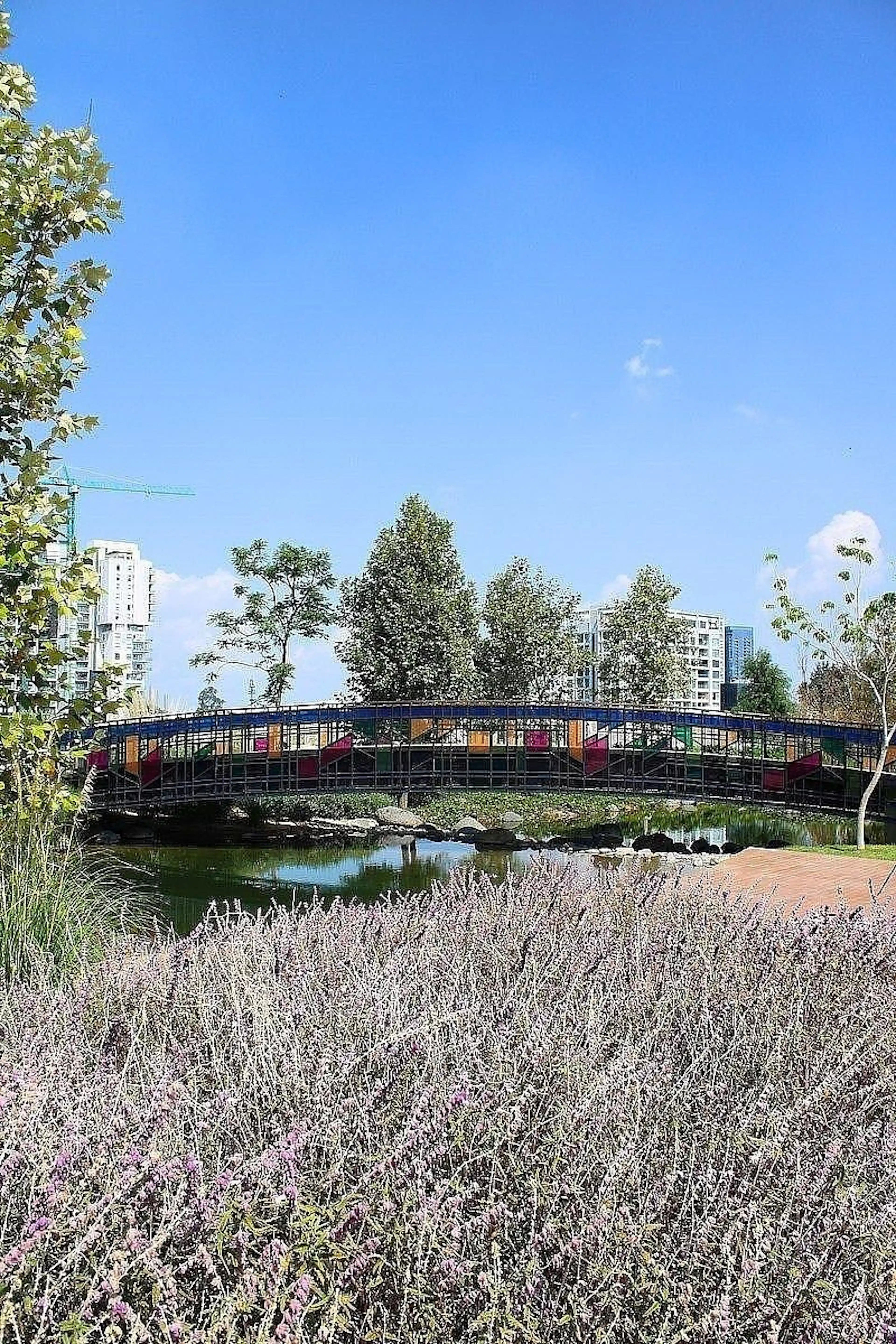 Paseo De Gracia – Macro Lotes Para Desarrollo En La Zona Dorada De Zapopan