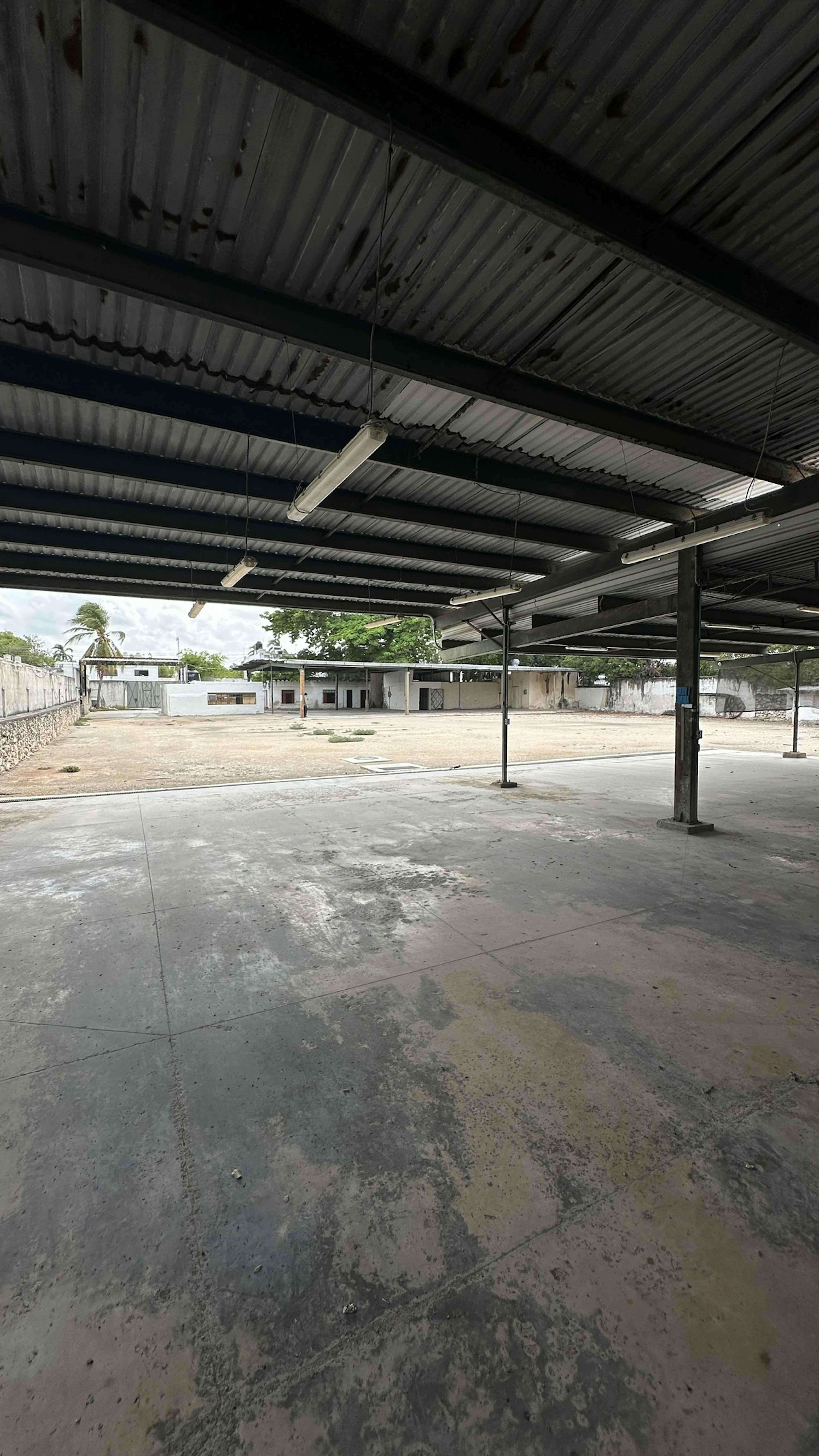 Carretera Mérida - Progreso