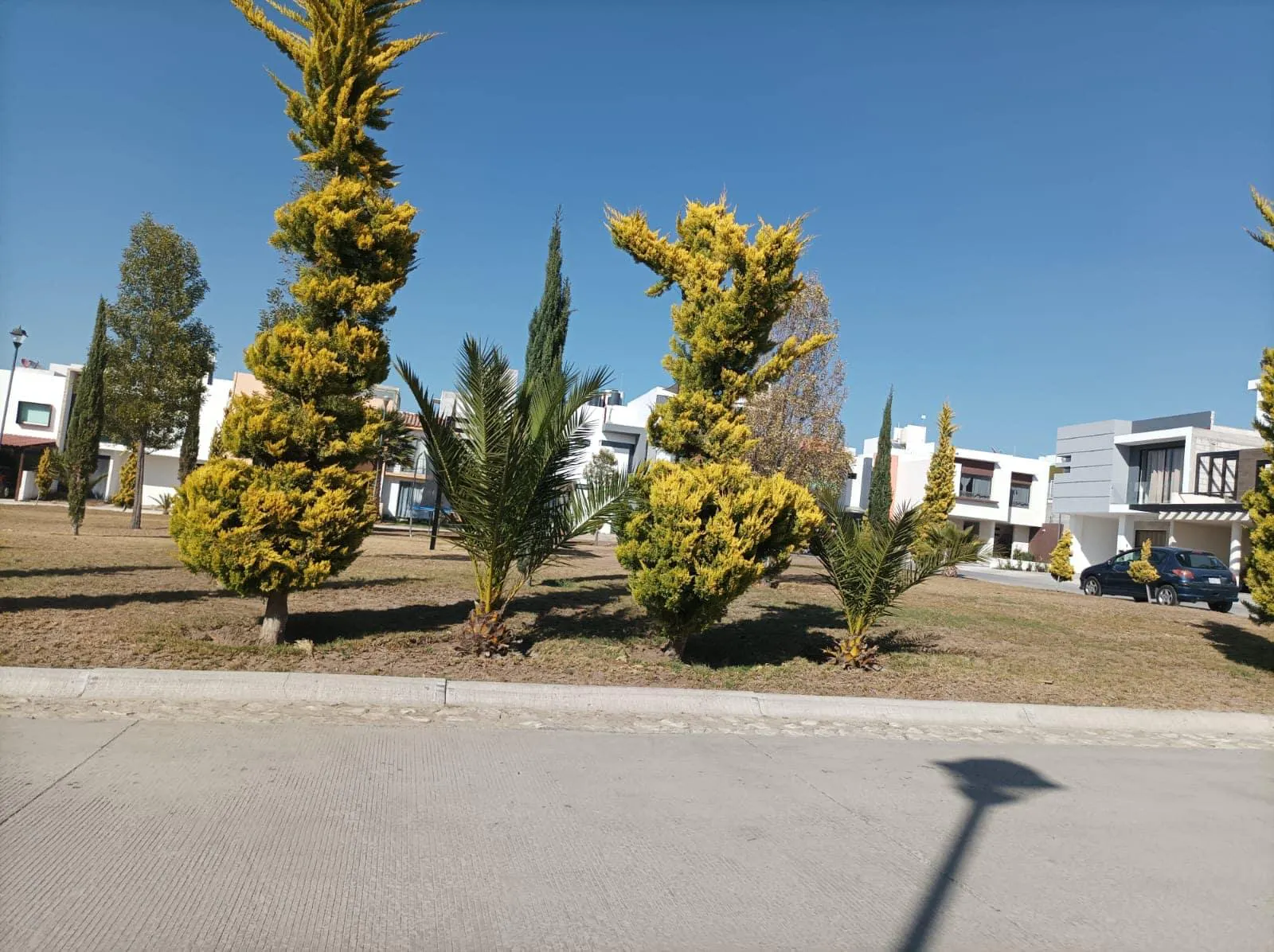 Terreno Spot2