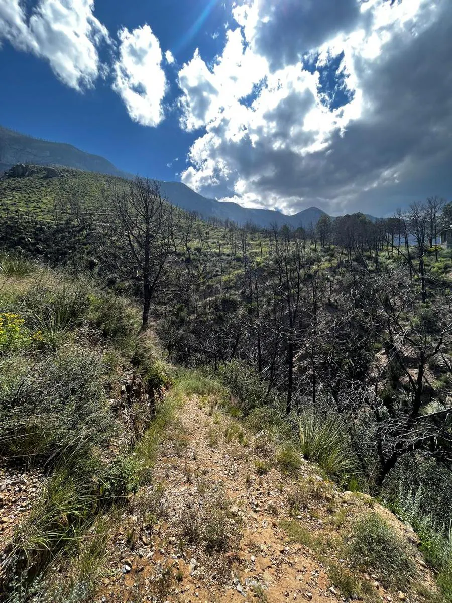 Terreno Spot2