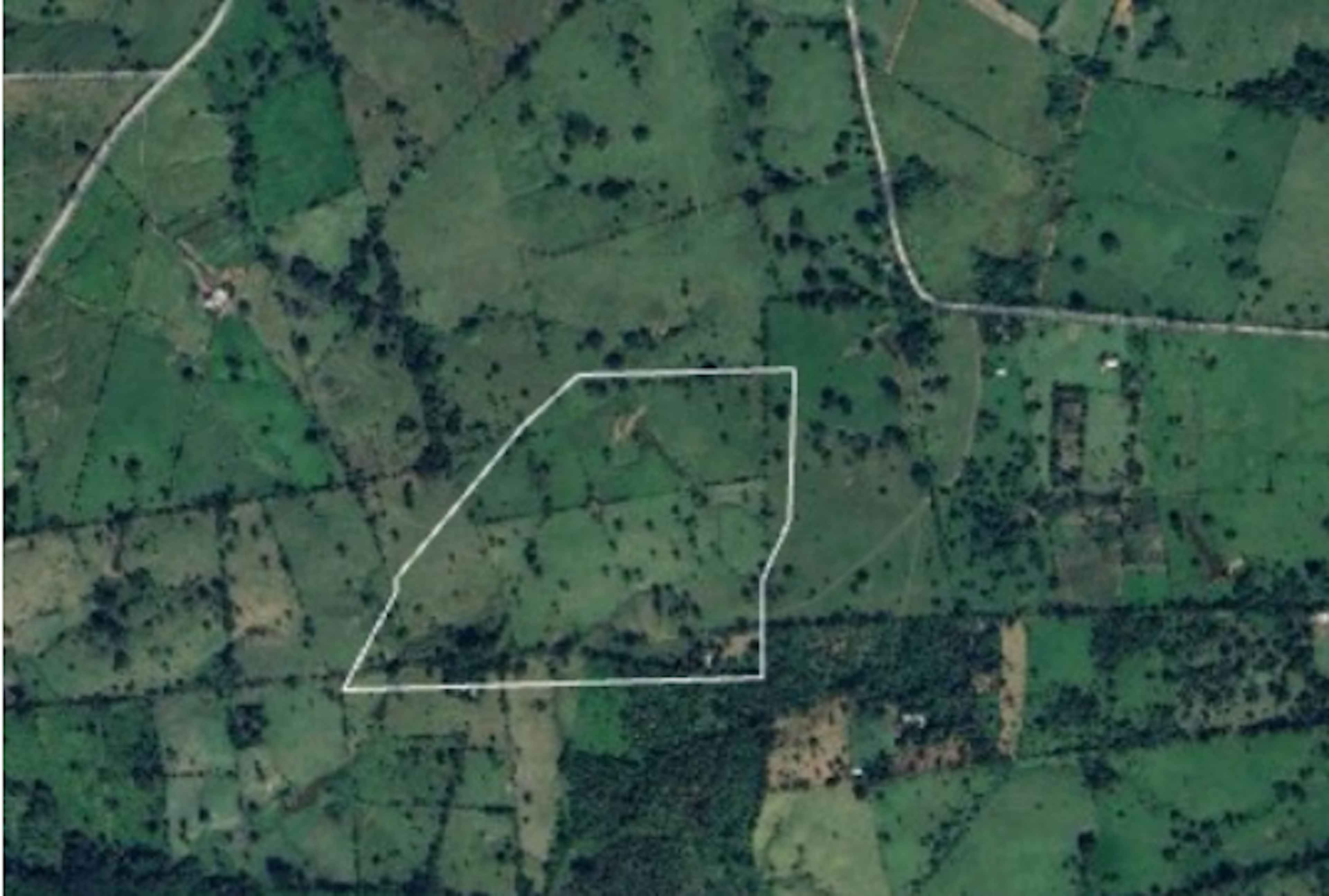 Camino "el Rosario”