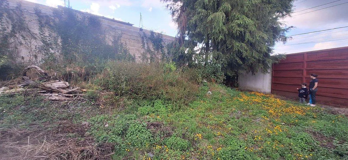 Terreno Spot2