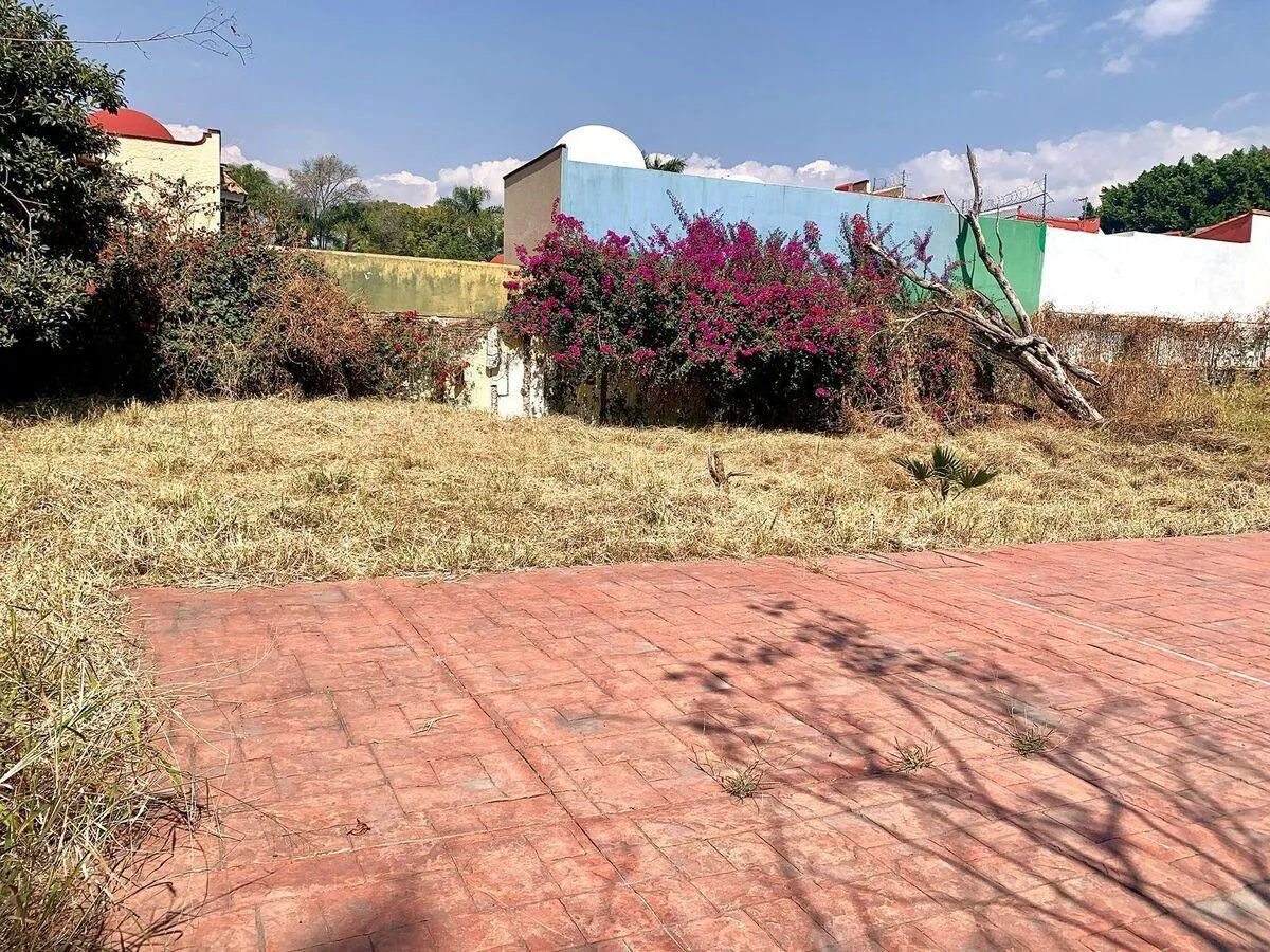 Terreno Spot2