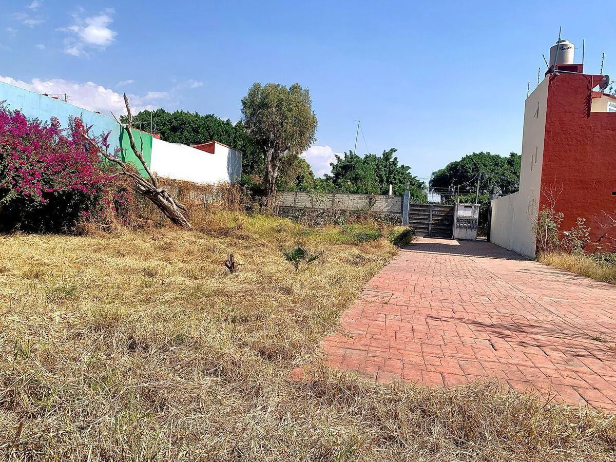 Terreno Spot2