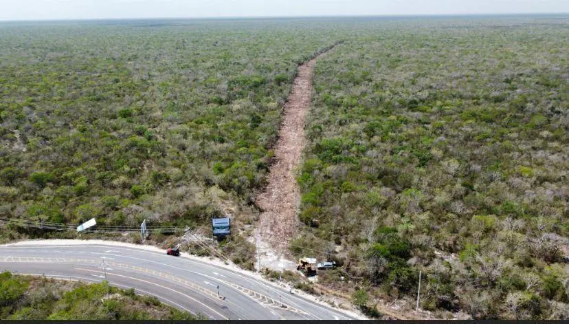 Terreno Spot2