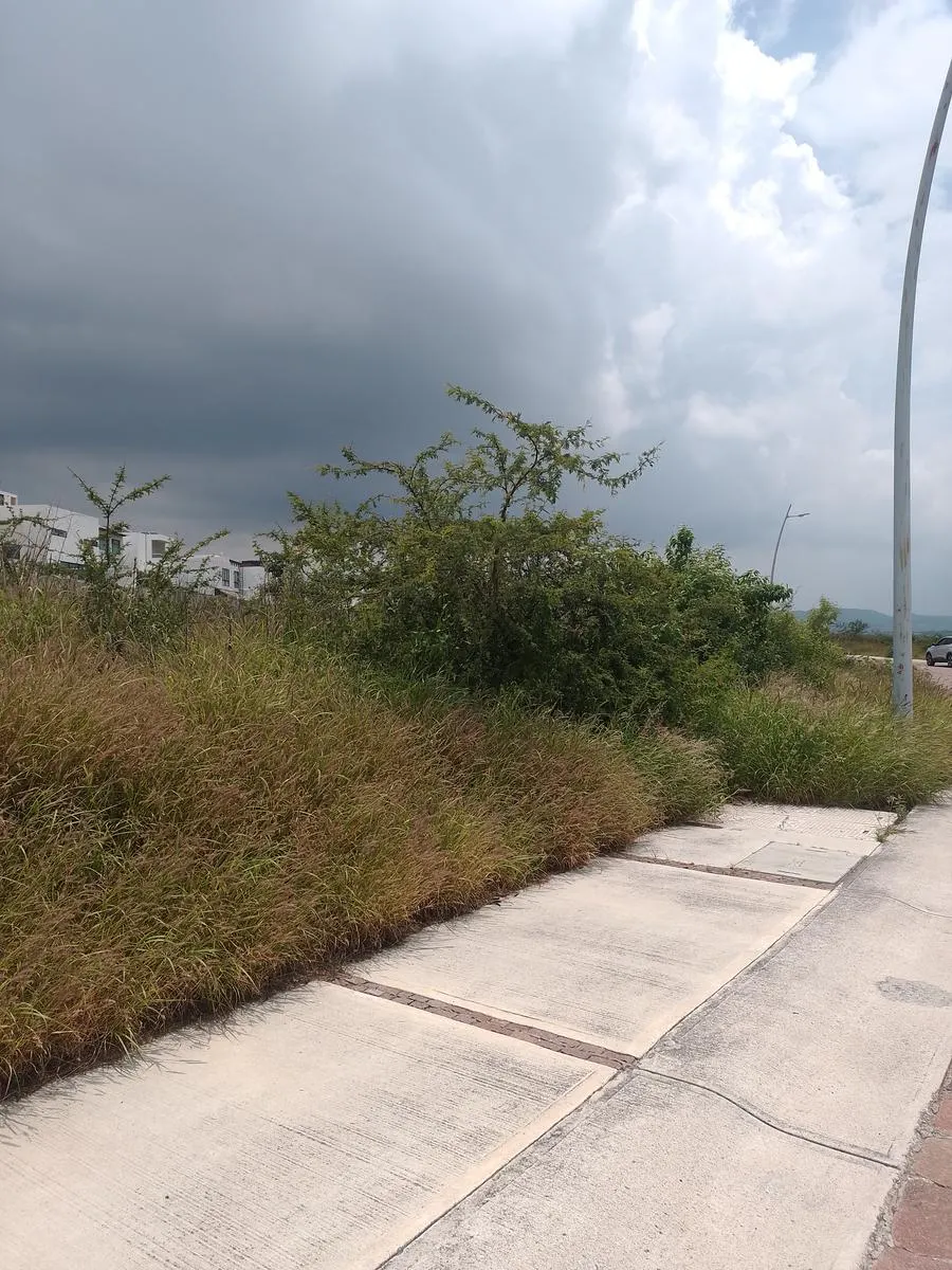 Terreno Spot2