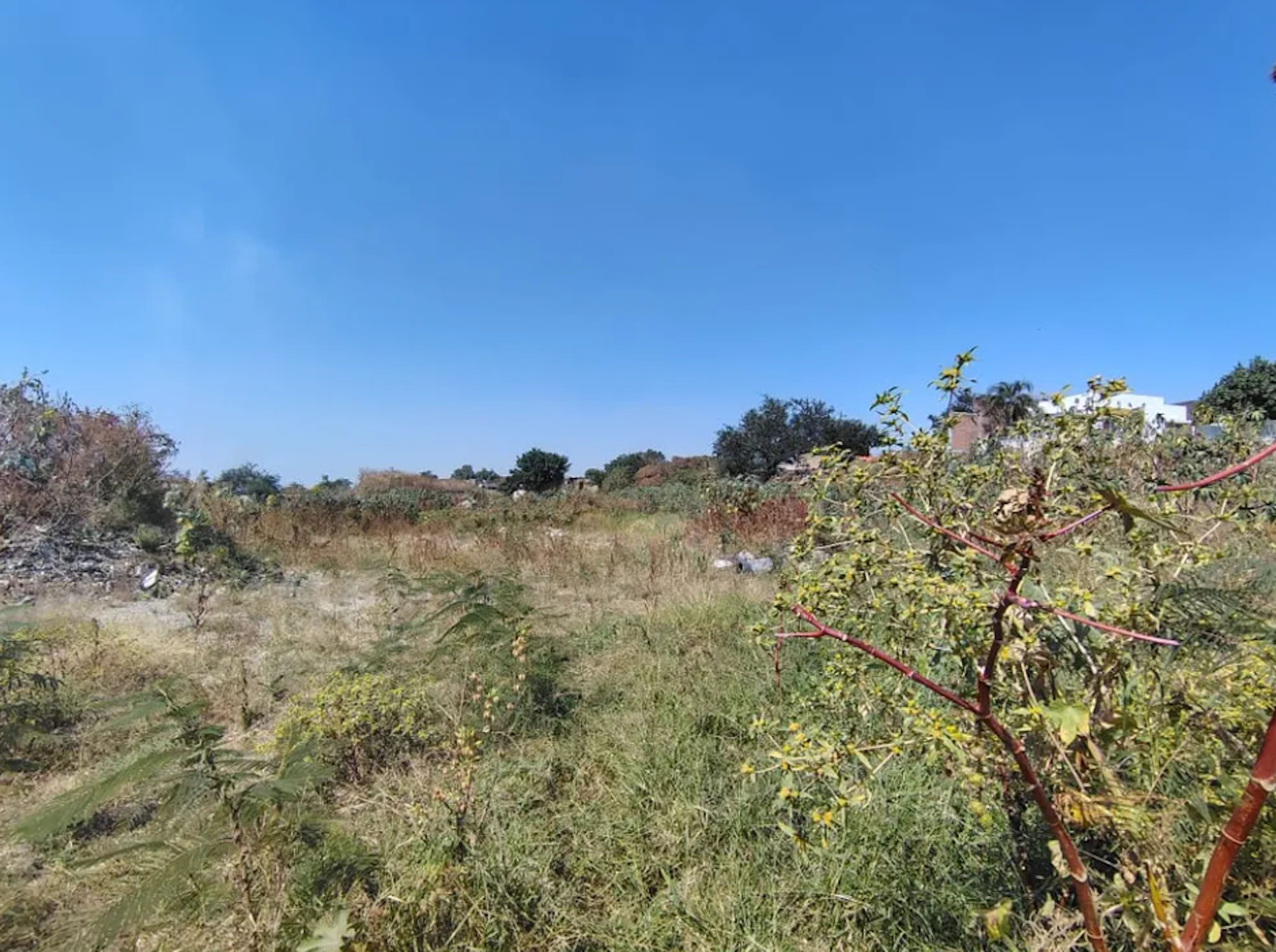 Terreno Spot2