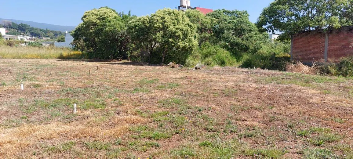 Terreno Spot2