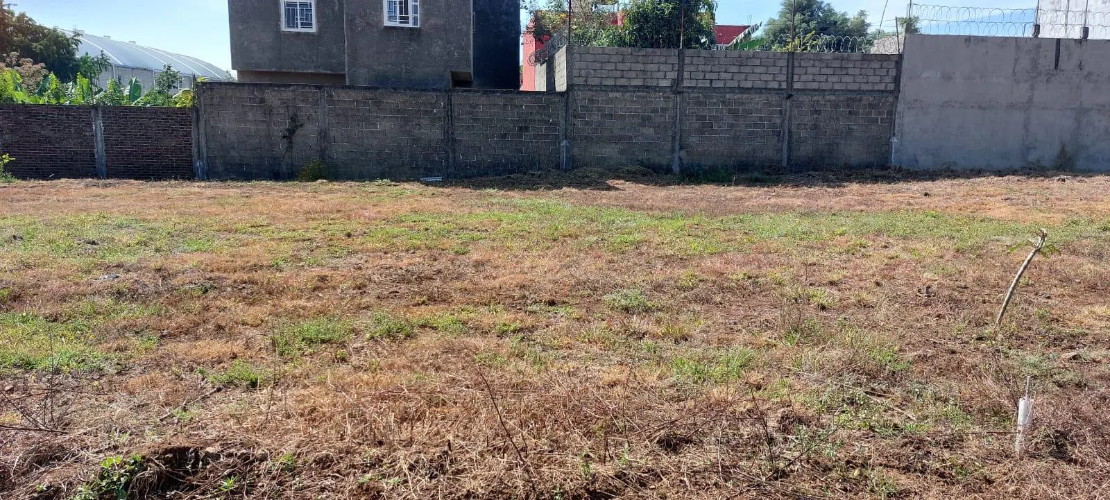 Terreno Spot2