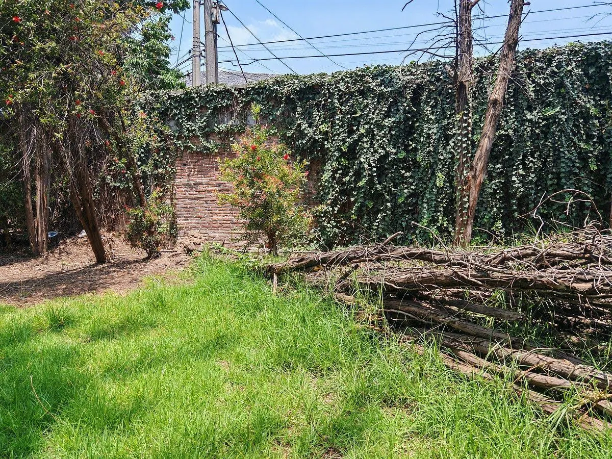 Terreno Spot2
