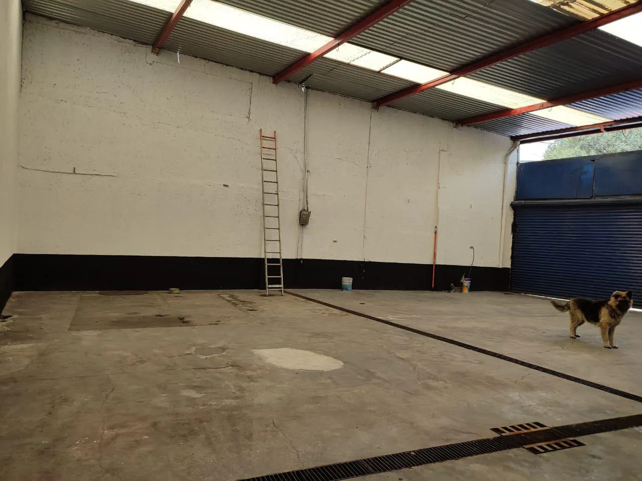Local Comercial Spot2
