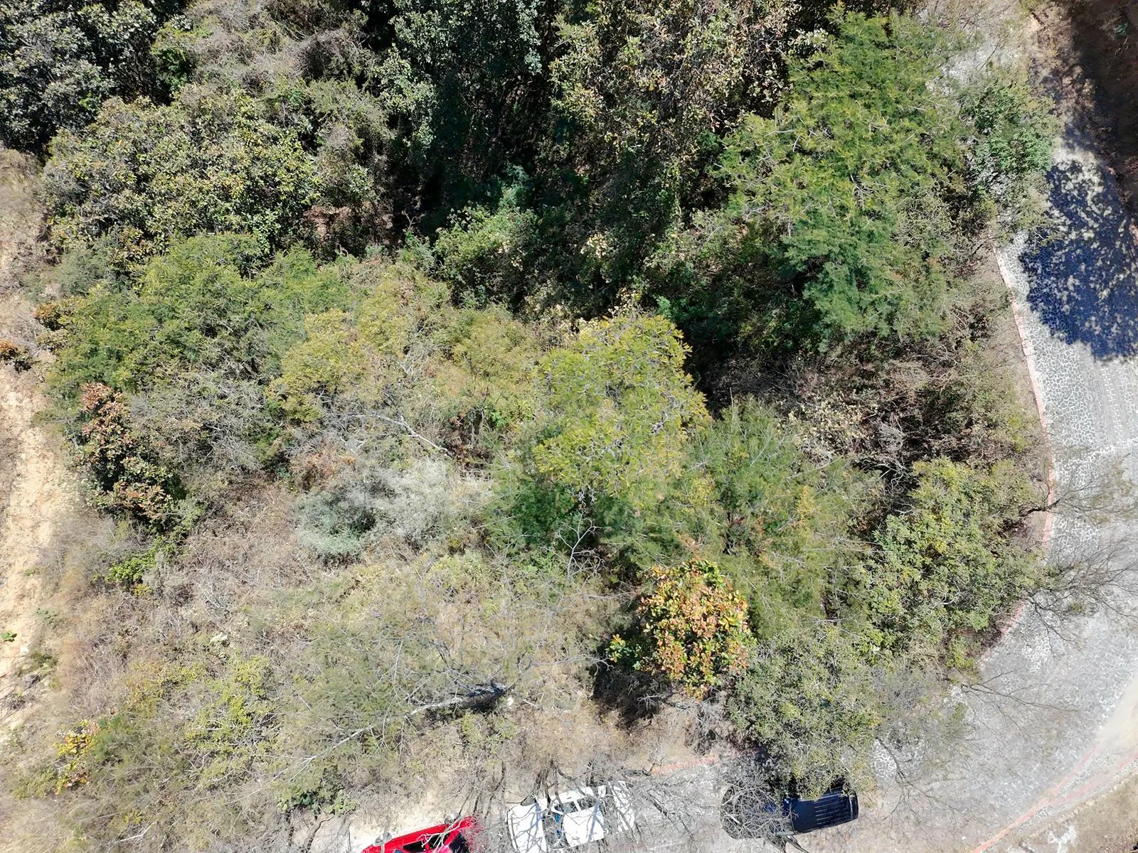 Terreno Spot2