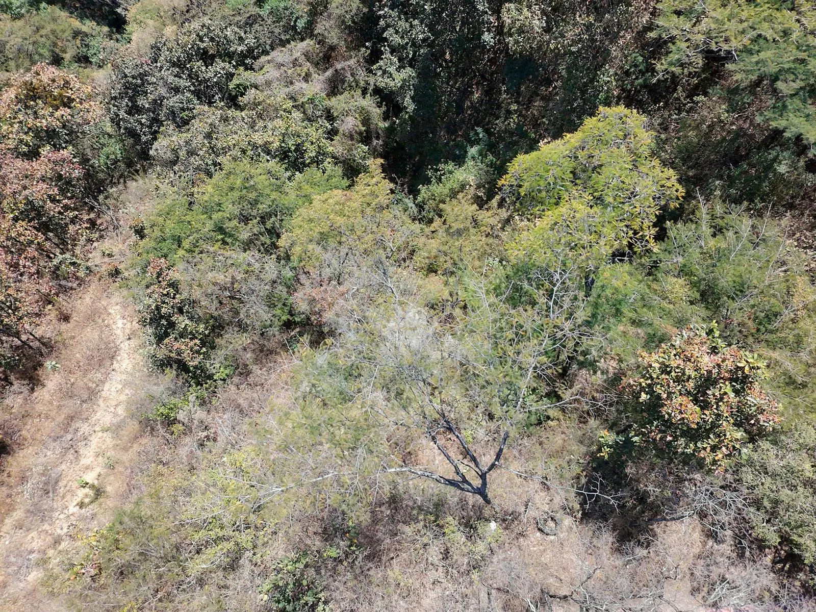 Terreno Spot2